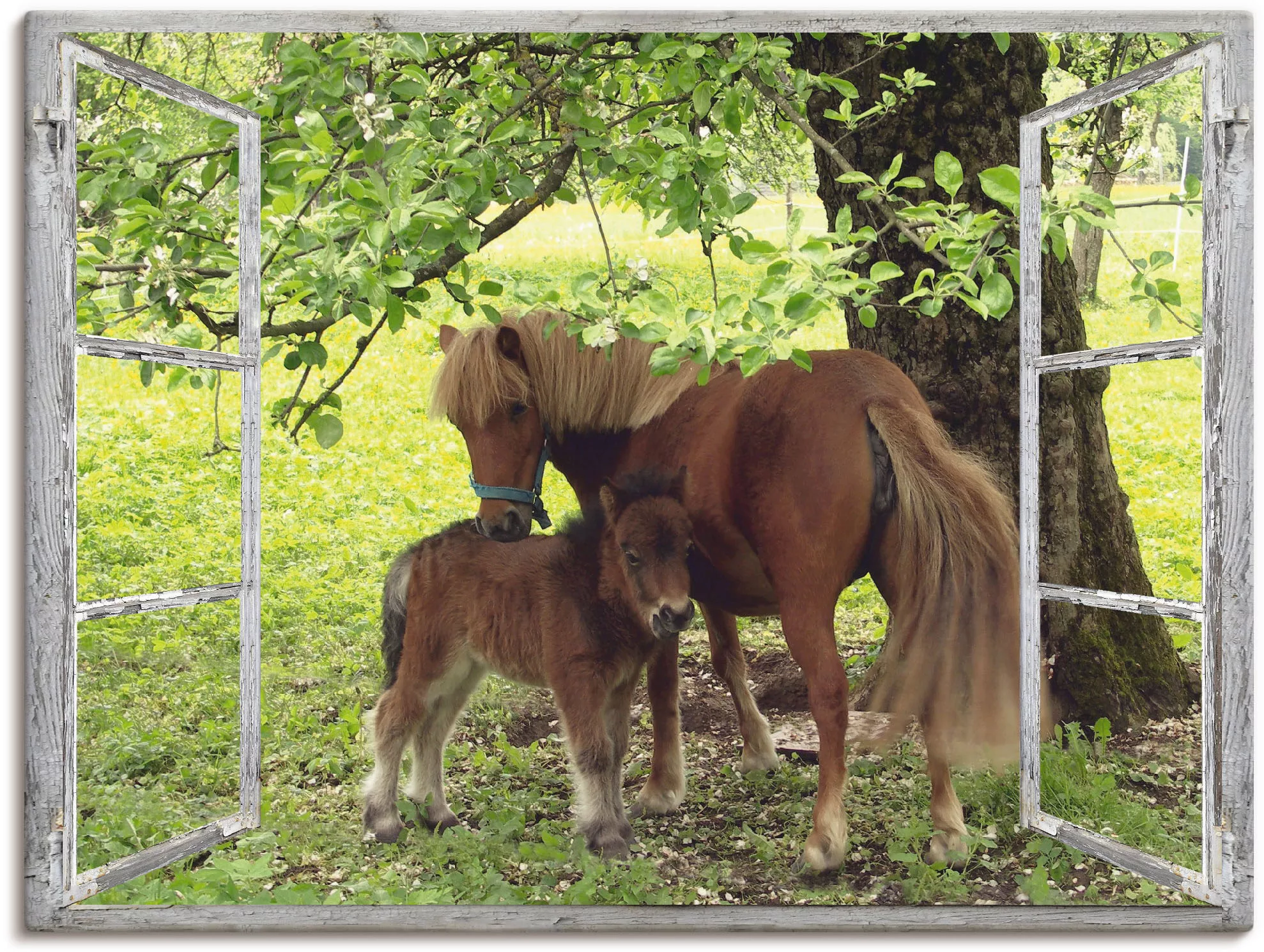 Artland Wandbild "Fensterblick - Pony mit Kind", Haustiere, (1 St.), als Le günstig online kaufen