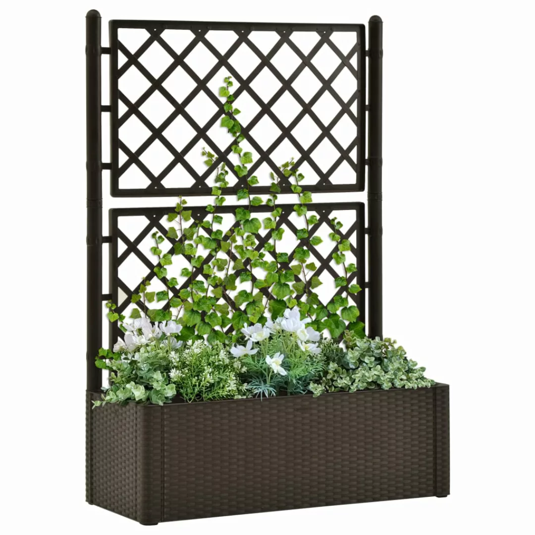 Garten-hochbeet Mit Spalier Und Selbstbewässerungssystem Mokka günstig online kaufen