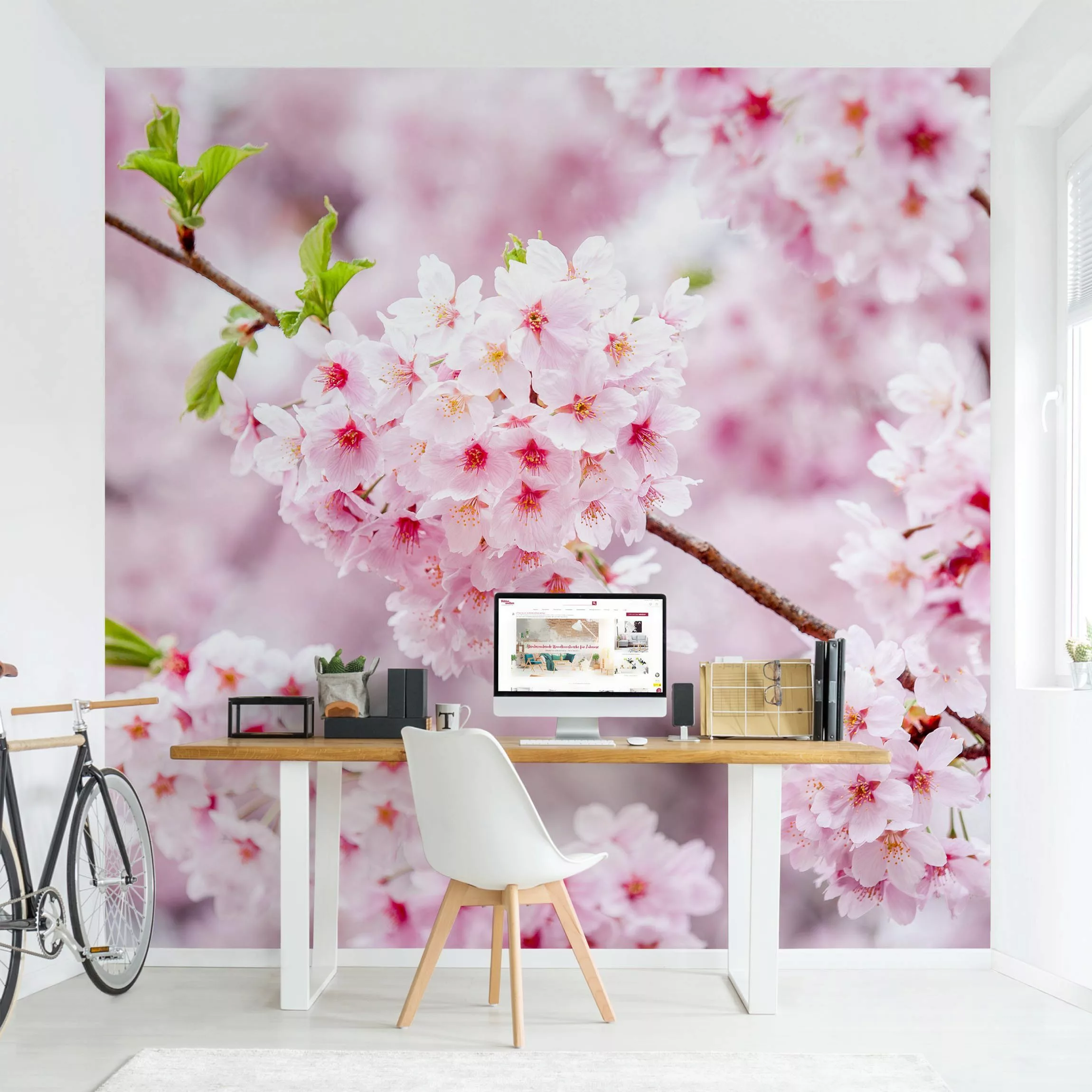 Fototapete Japanische Kirschblüten günstig online kaufen