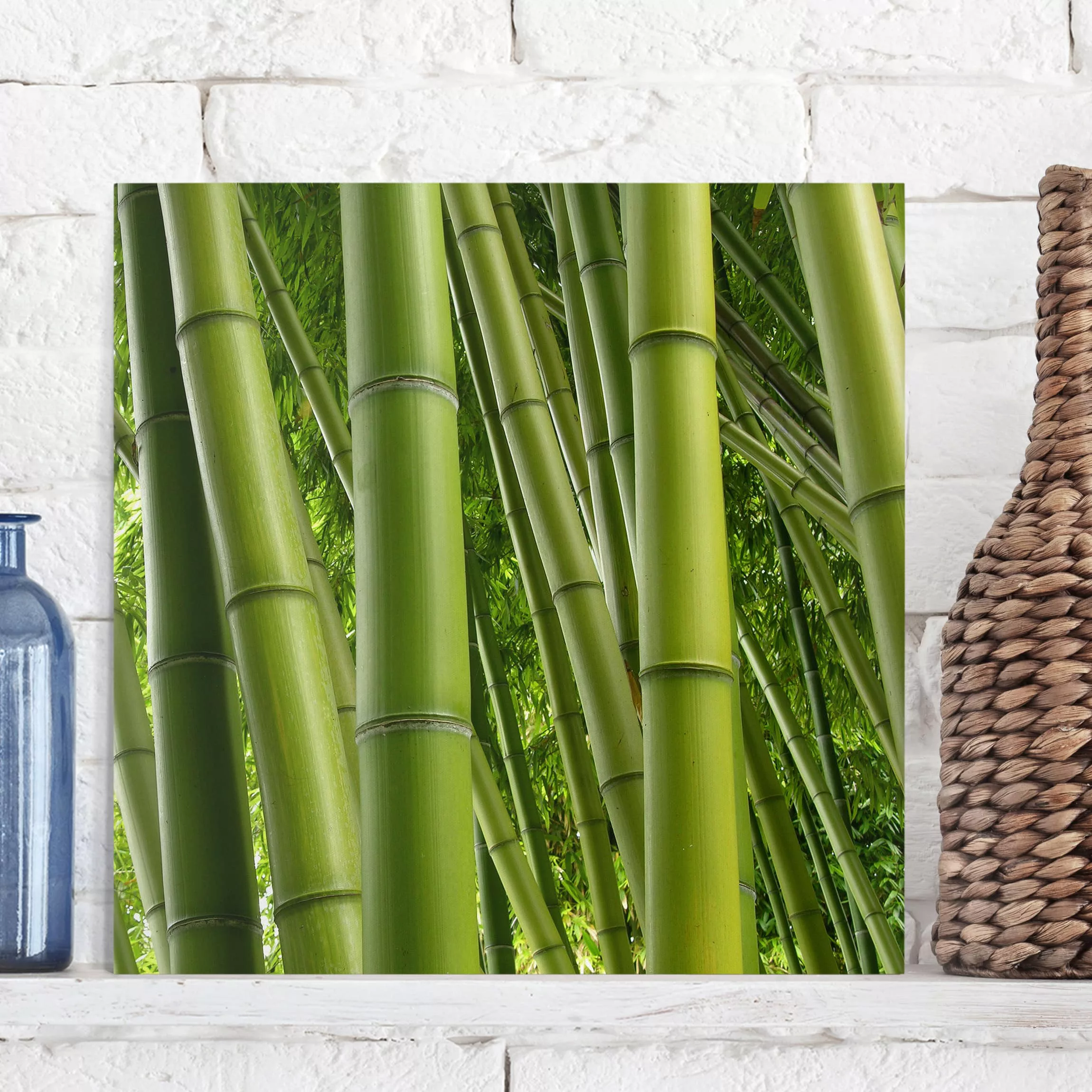 Leinwandbild Bambus - Quadrat Bamboo Trees günstig online kaufen