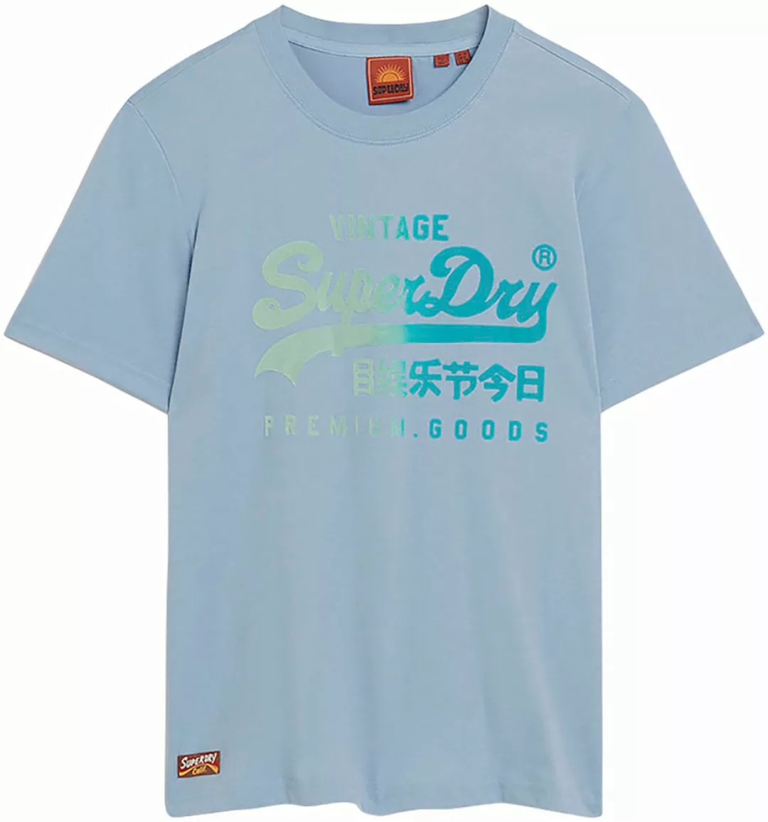 Superdry T-Shirt "TONAL VL GRAPHIC RELAXED TEE" günstig online kaufen