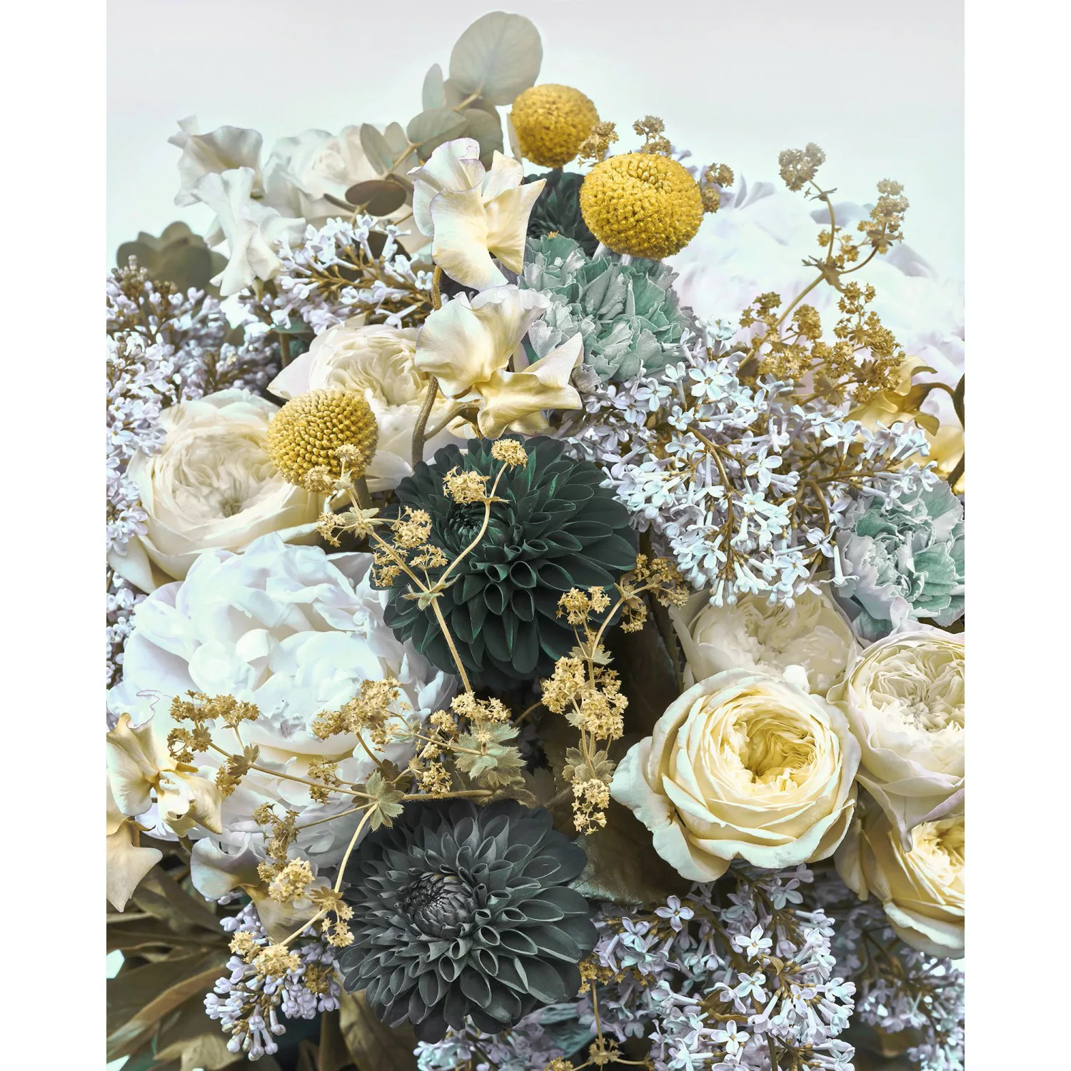 KOMAR Vlies Fototapete - Gentle Bloom - Größe 200 x 250 cm mehrfarbig günstig online kaufen
