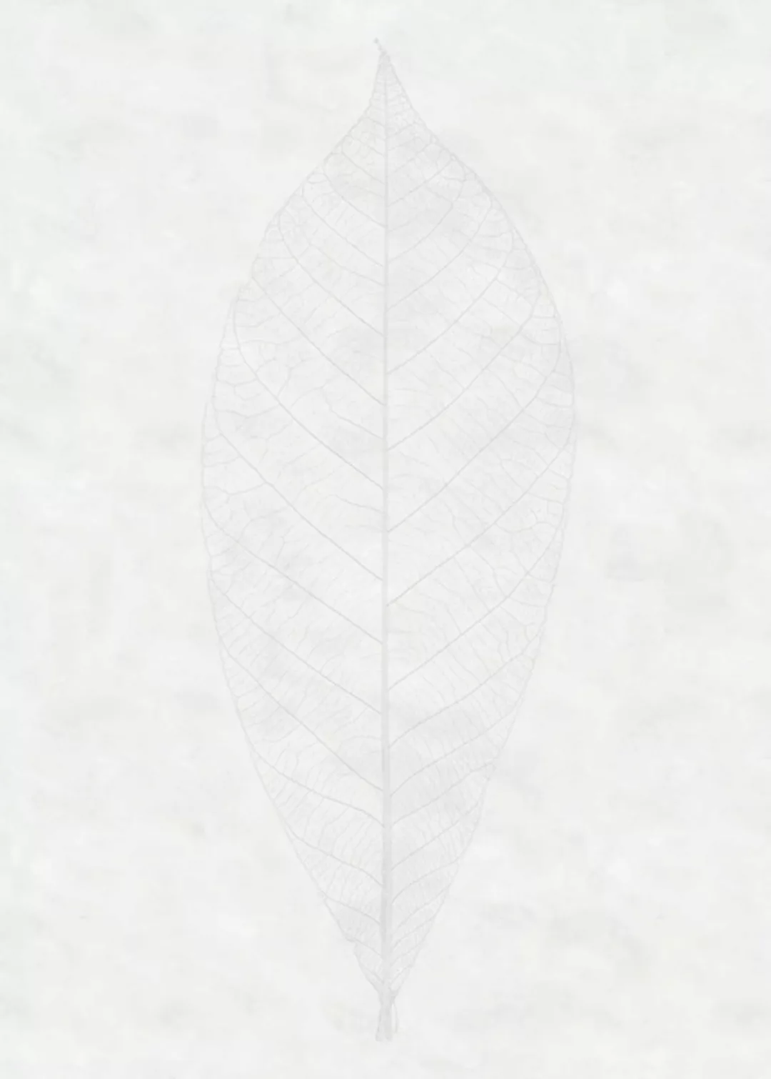 KOMAR Vlies Fototapete - Decent Leaf - Größe 200 x 280 cm mehrfarbig günstig online kaufen