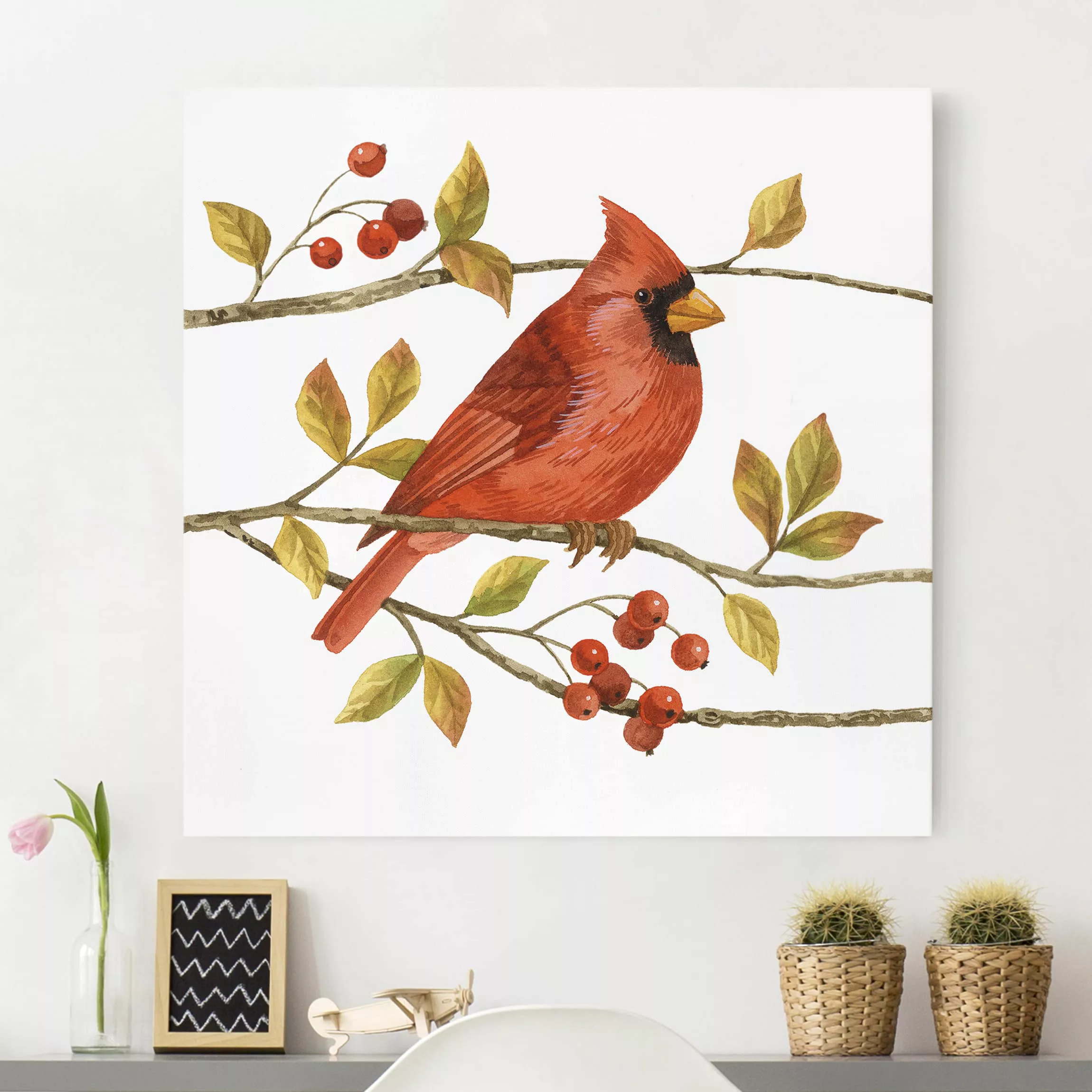 Leinwandbild Tiere - Quadrat Vögel und Beeren - Rotkardinal günstig online kaufen
