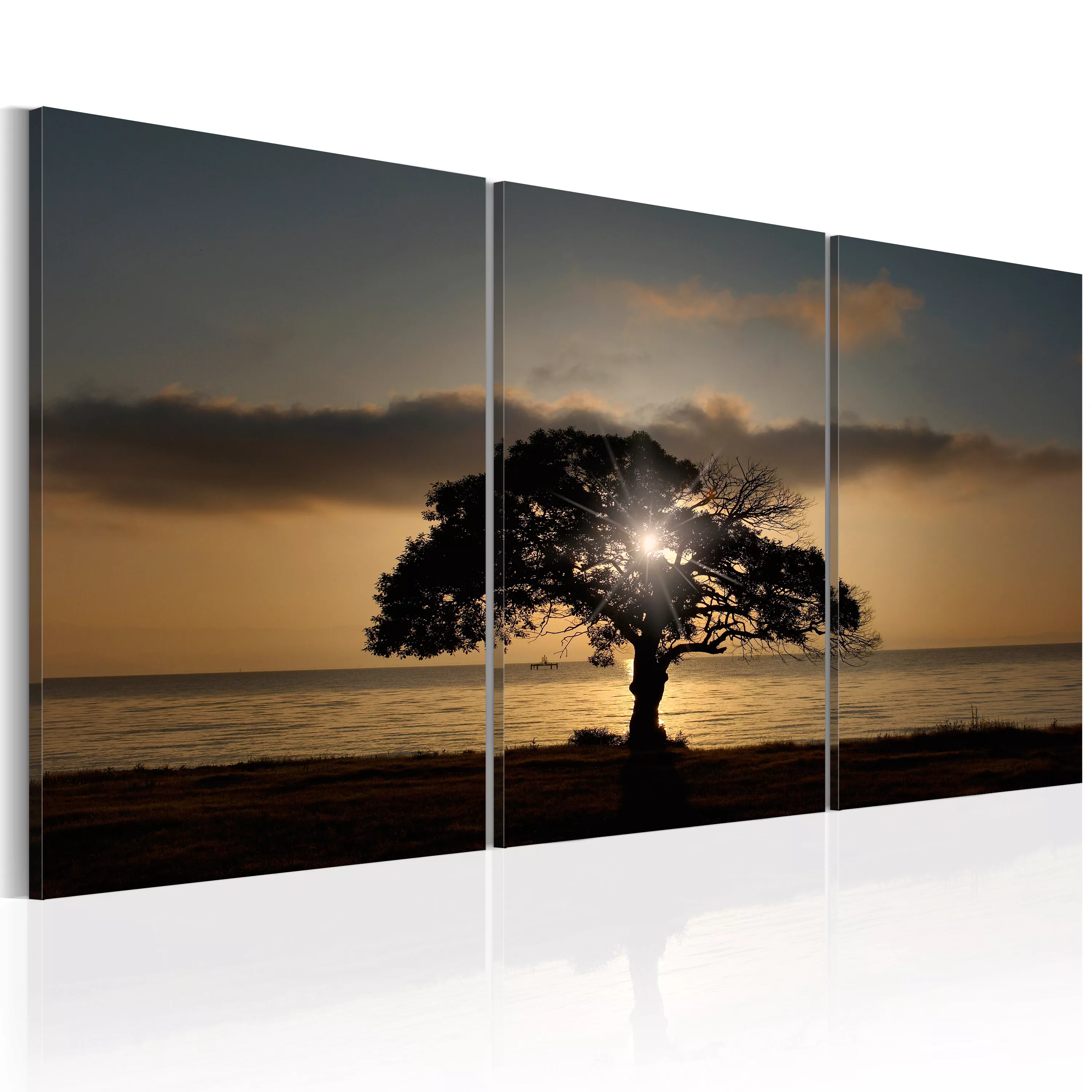 Wandbild - Extraordinary Nature günstig online kaufen