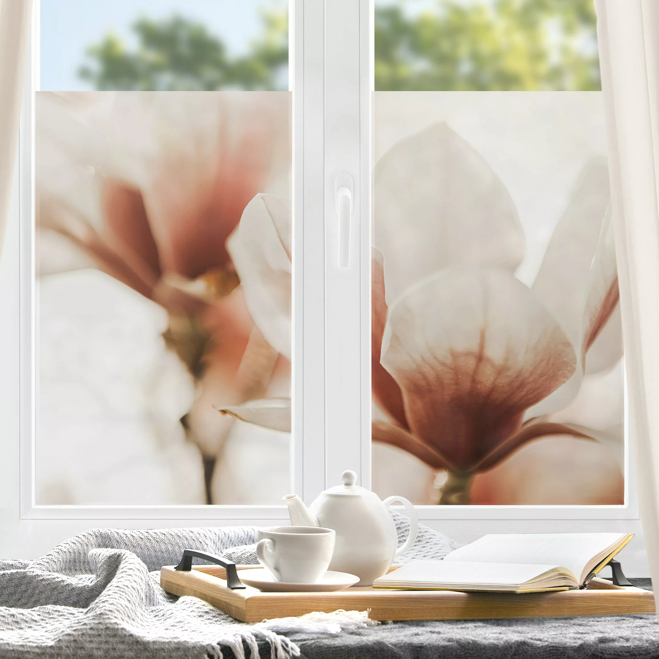 Fensterfolie Zarte Magnolienblüten im Lichtspiel günstig online kaufen