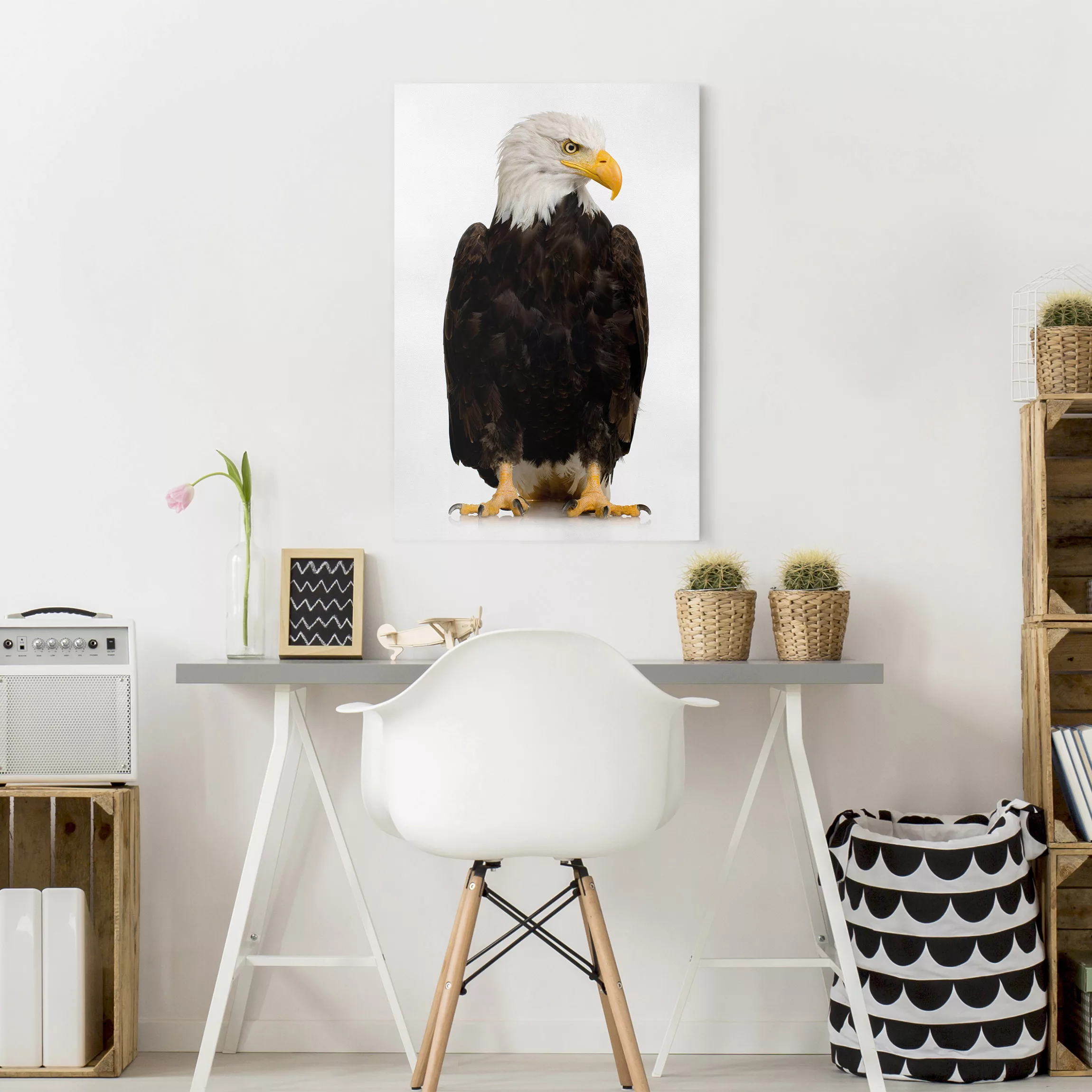 Leinwandbild Tiere - Hochformat Eye of the Eagle günstig online kaufen