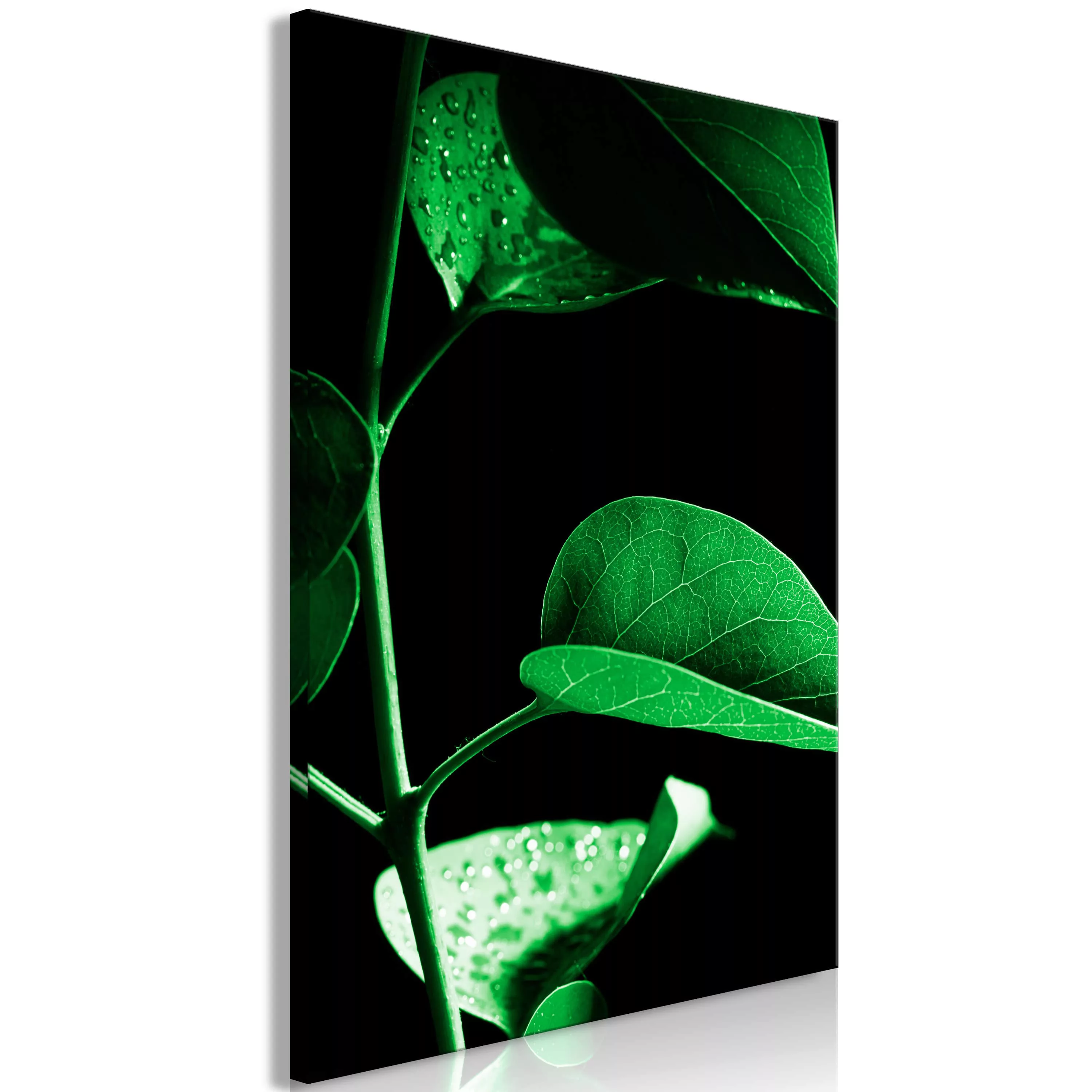 Wandbild - Plant in Black (1 Part) Vertical günstig online kaufen