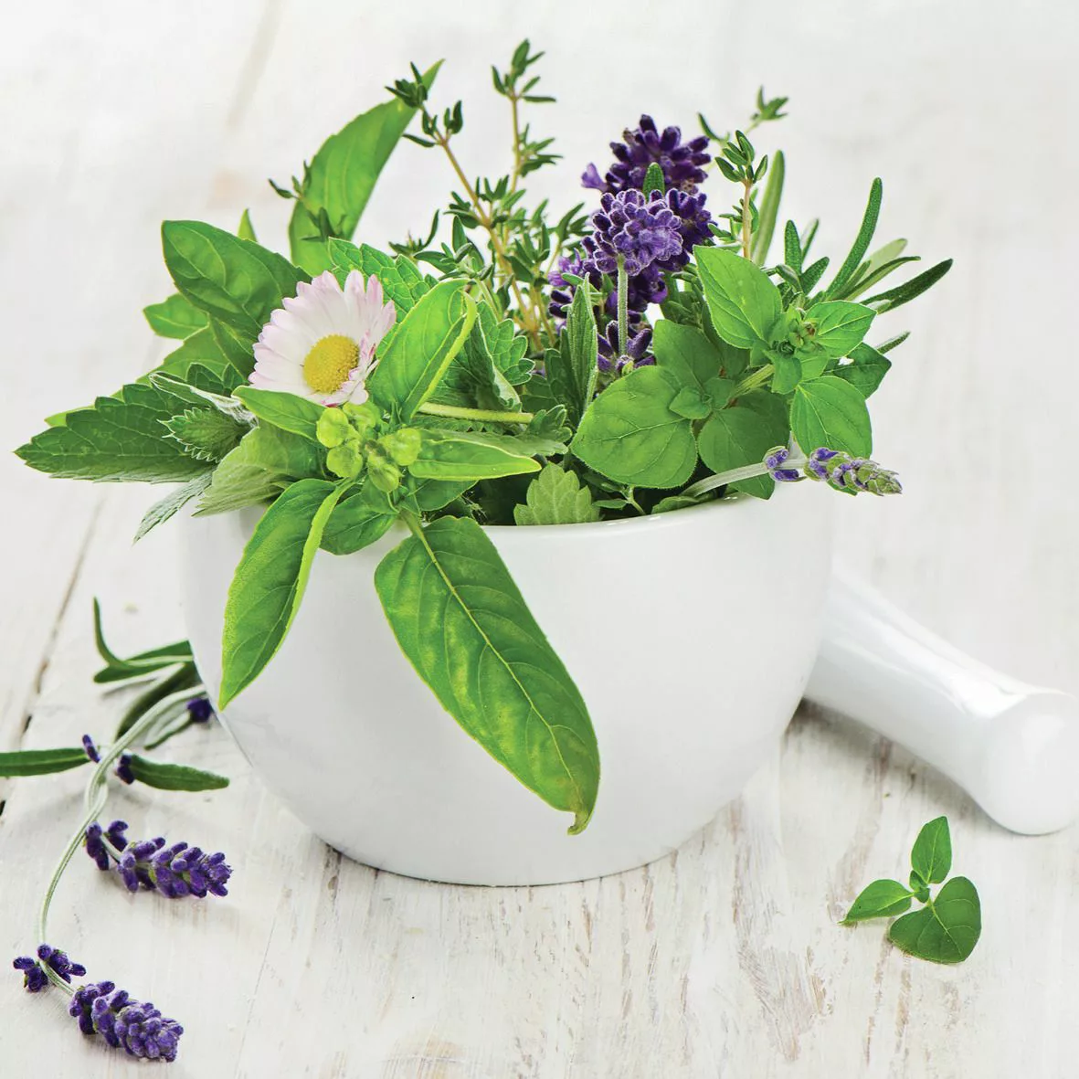 Euroart Glasbild Fresh Herbs I 20x20 günstig online kaufen