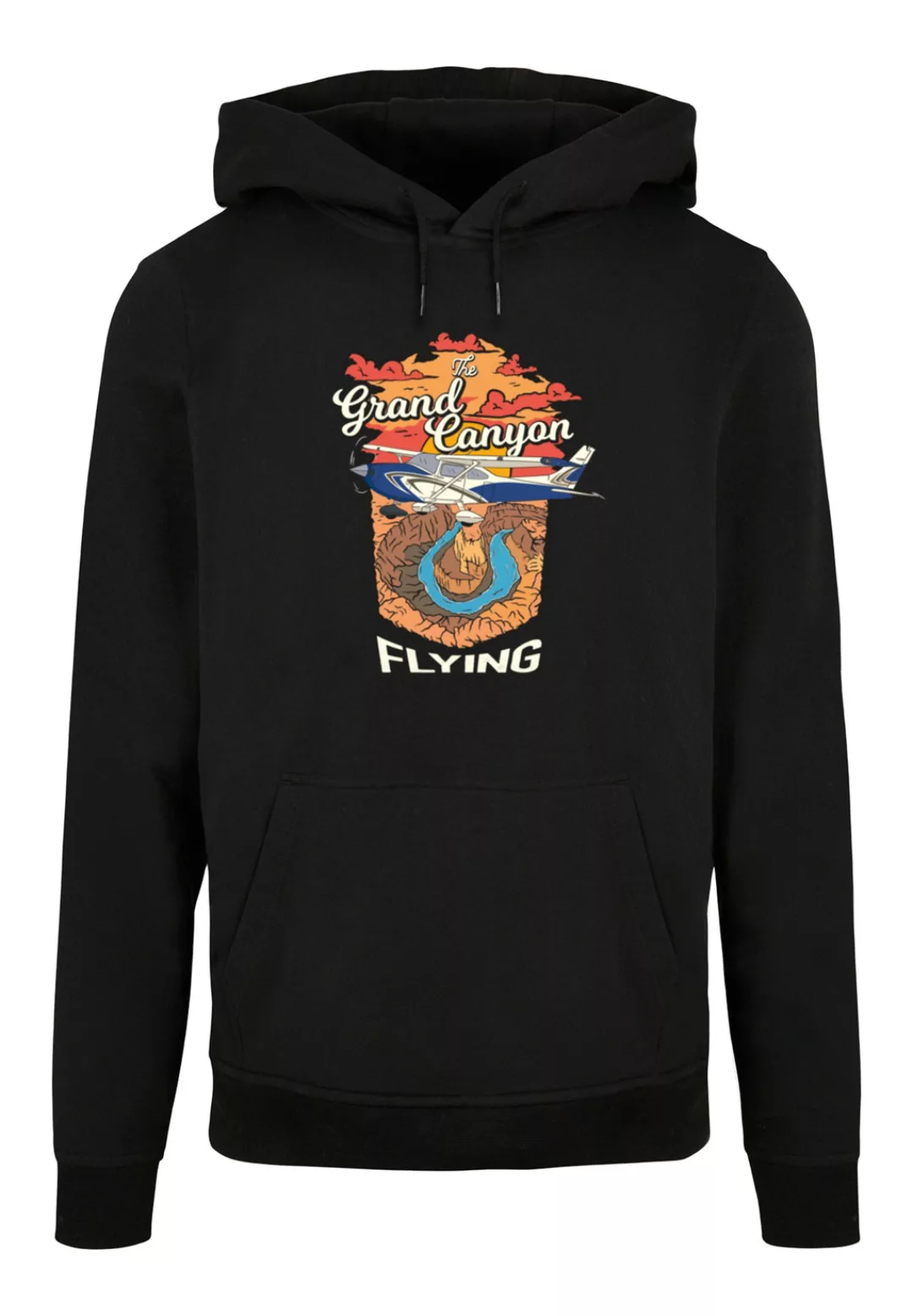 F4NT4STIC Kapuzenpullover "Grand Canyon Flying", Print günstig online kaufen