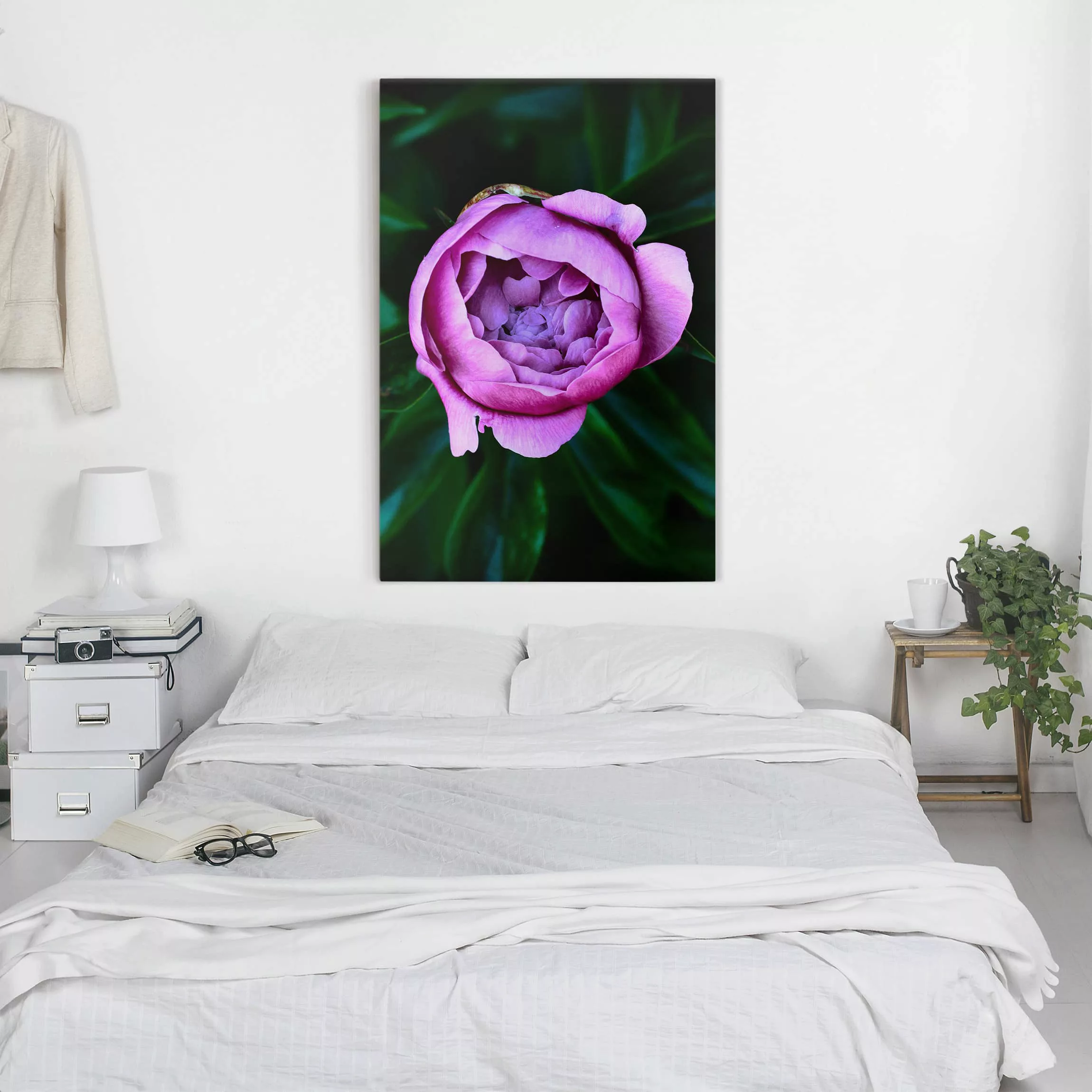 Leinwandbild Blumen - Hochformat Lila Pfingstrosenblüte vor Blättern günstig online kaufen