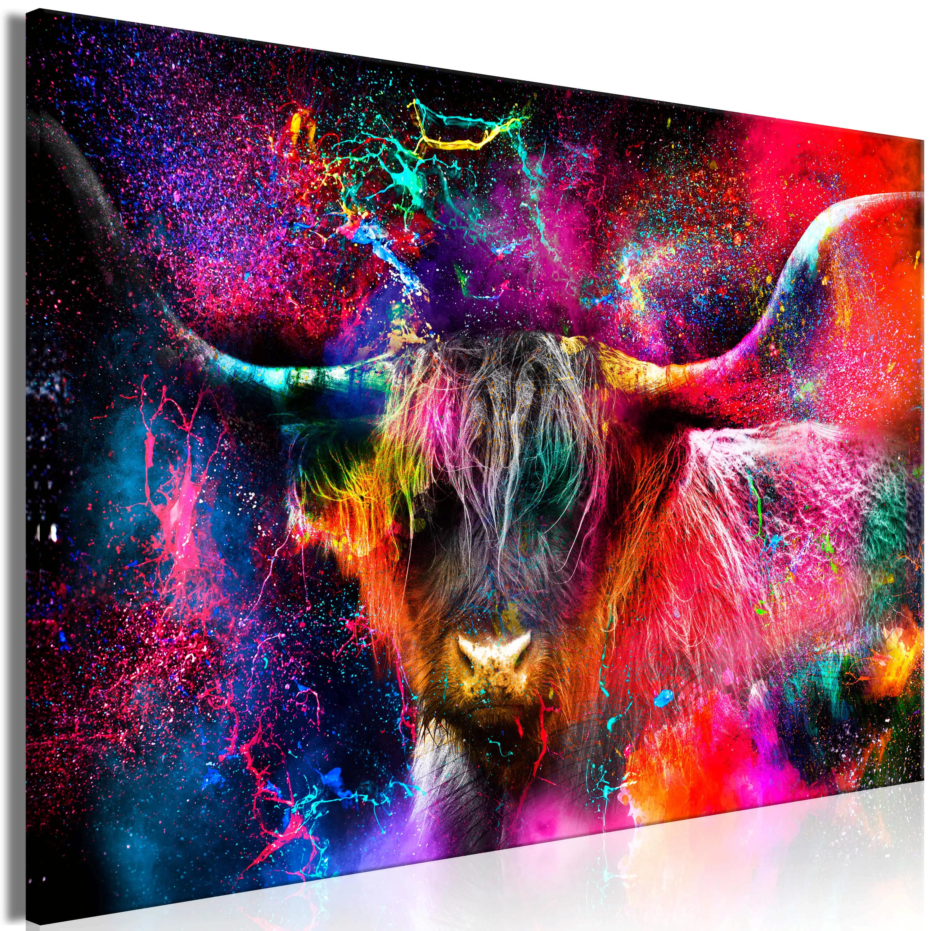 Wandbild - Colorful Bull (1 Part) Wide günstig online kaufen