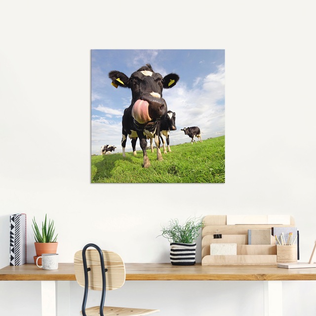 Artland Wandbild "Holstein-Kuh mit gewaltiger Zunge", Haustiere, (1 St.), a günstig online kaufen
