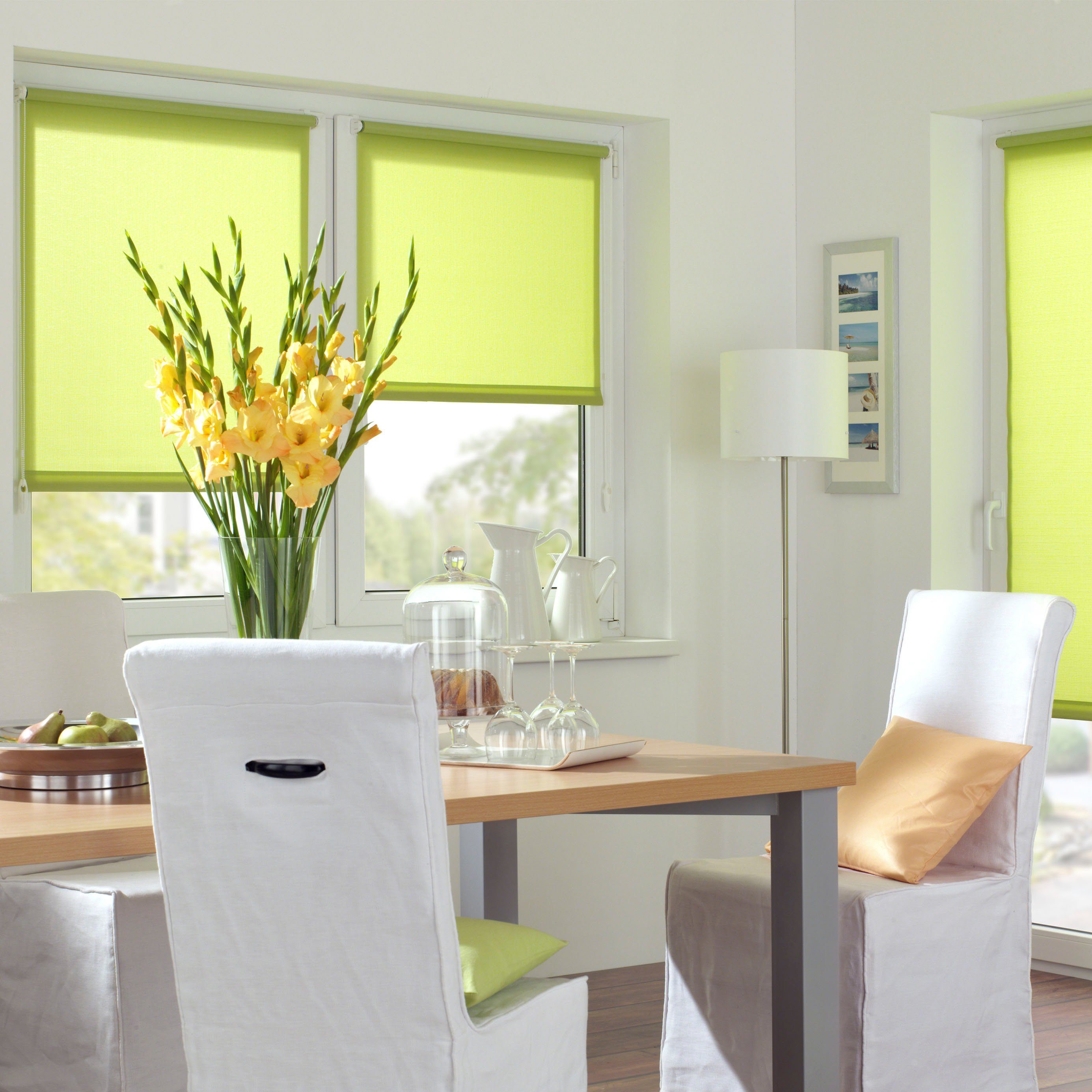 Seitenzugrollo EASYFIX Rollo Uni, GARDINIA, Lichtschutz, günstig online kaufen