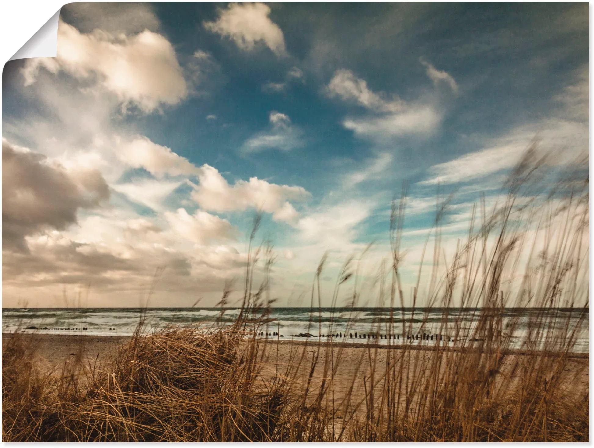 Artland Wandbild »An der Küste der Ostsee«, Gewässer, (1 St.), als Leinwand günstig online kaufen