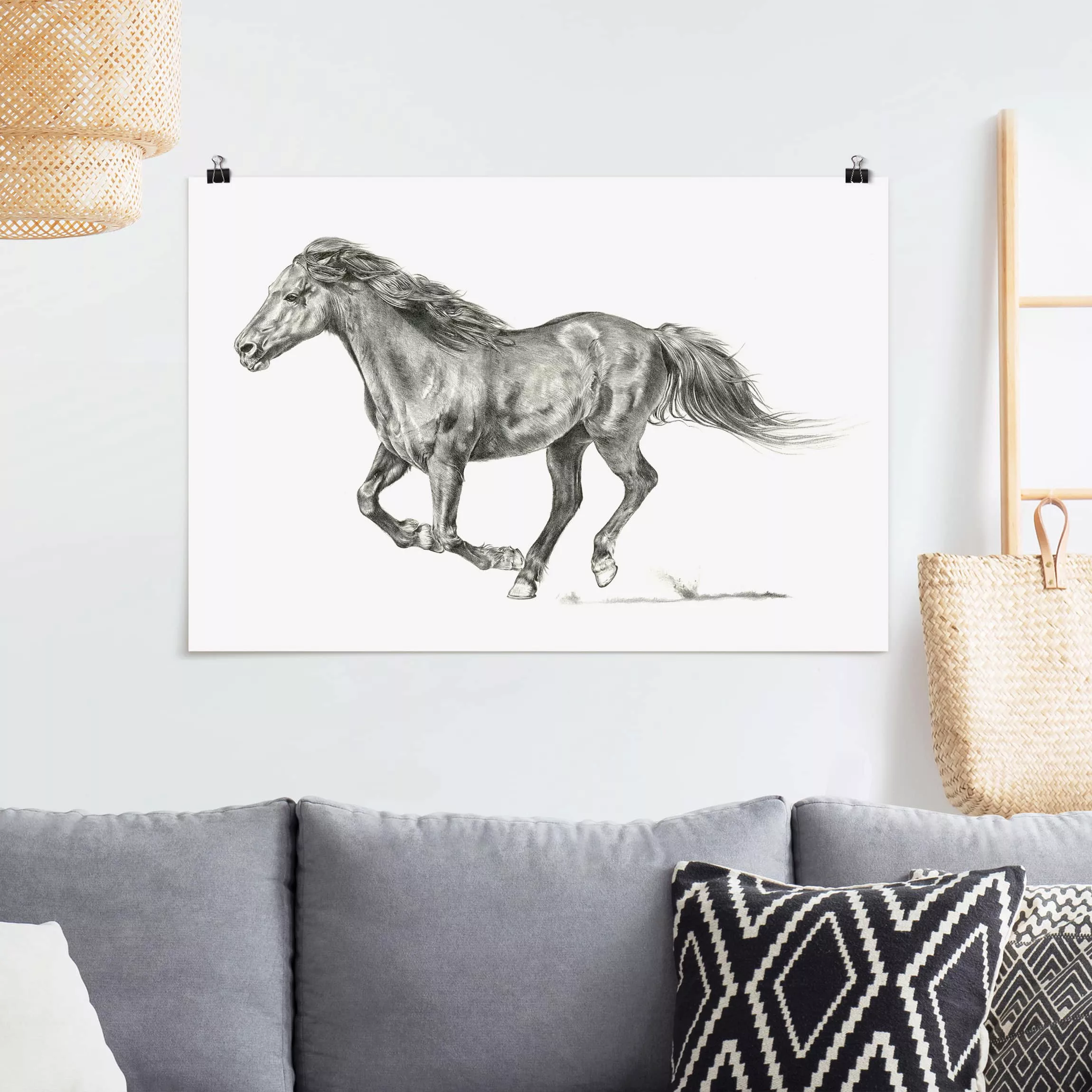 Poster Kunstdruck - Querformat Wildpferd-Studie - Stute günstig online kaufen