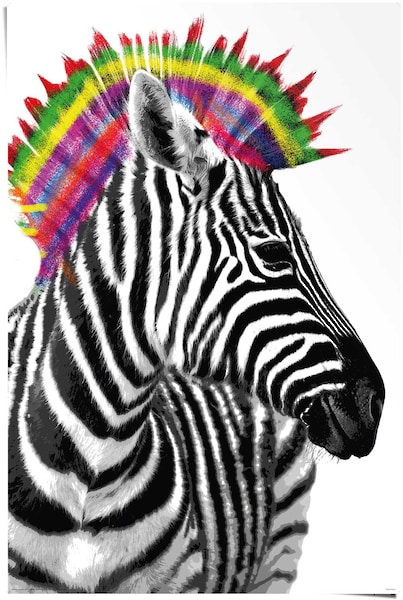 Reinders! Poster »Zebra Punk«, (1 St.) günstig online kaufen