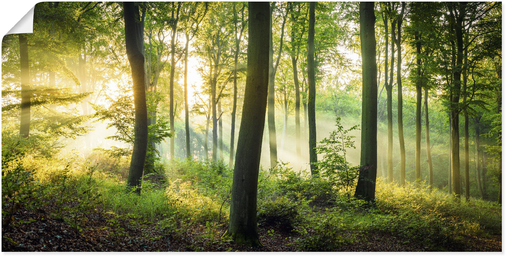 Artland Wandbild »Herbst im Wald II«, Waldbilder, (1 St.), als Alubild, Out günstig online kaufen