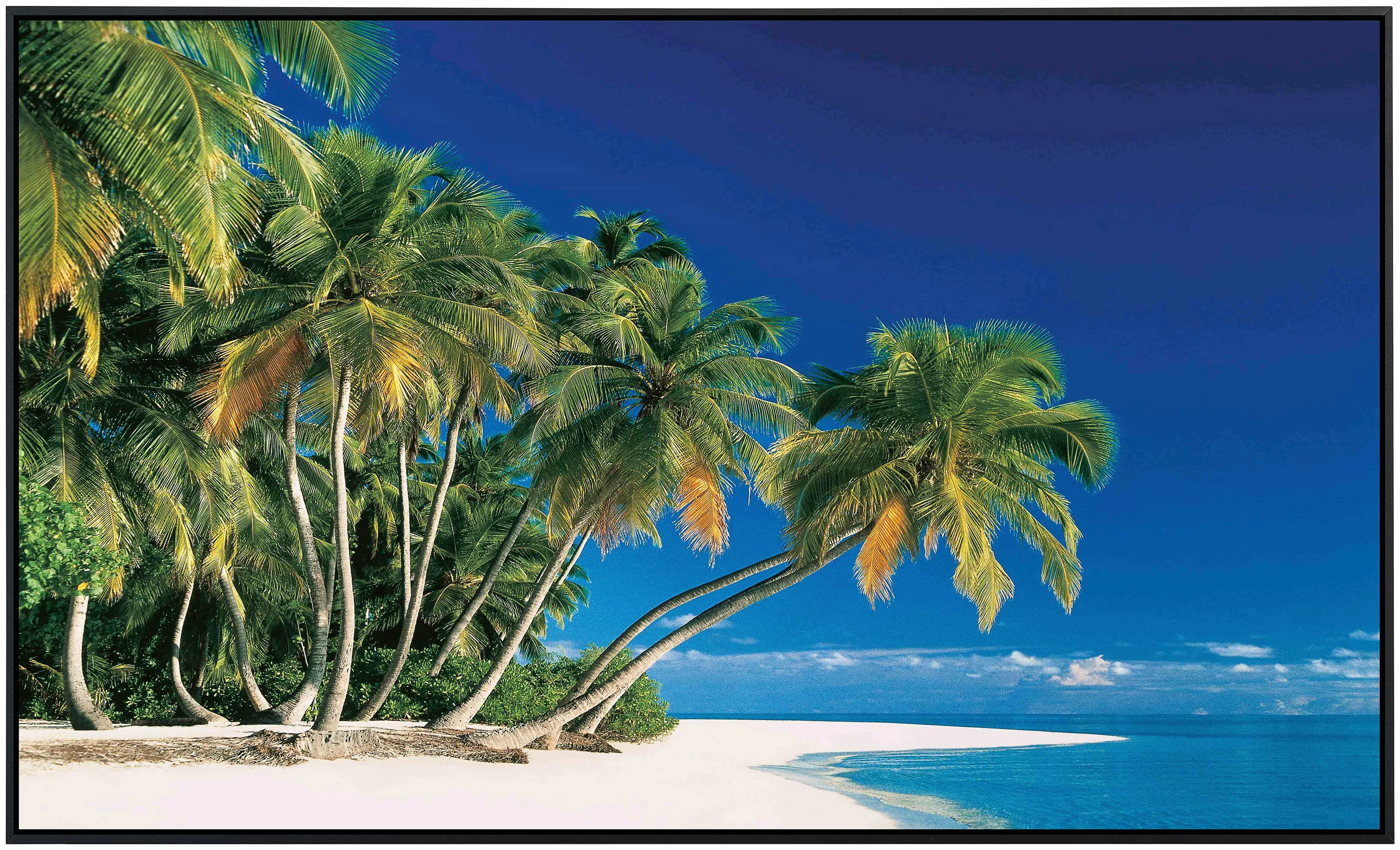 Papermoon Infrarotheizung »Tropische Palmen«, sehr angenehme Strahlungswärm günstig online kaufen