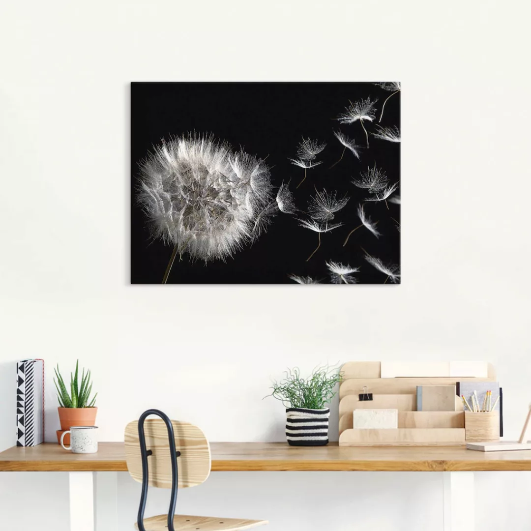Artland Wandbild »Pusteblume«, Blumenbilder, (1 St.) günstig online kaufen
