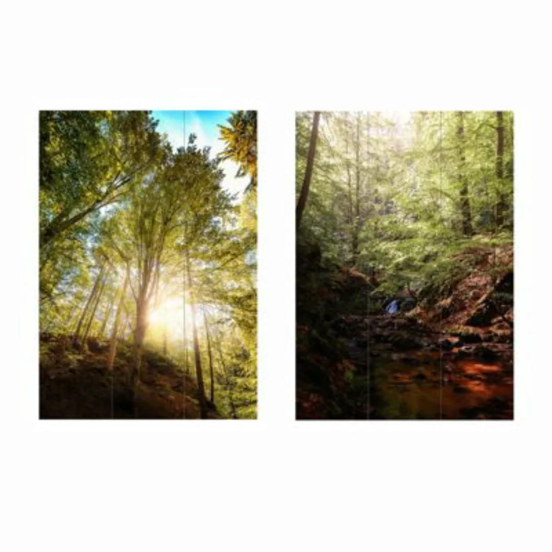 HTI-Living Paravent Wald bunt günstig online kaufen