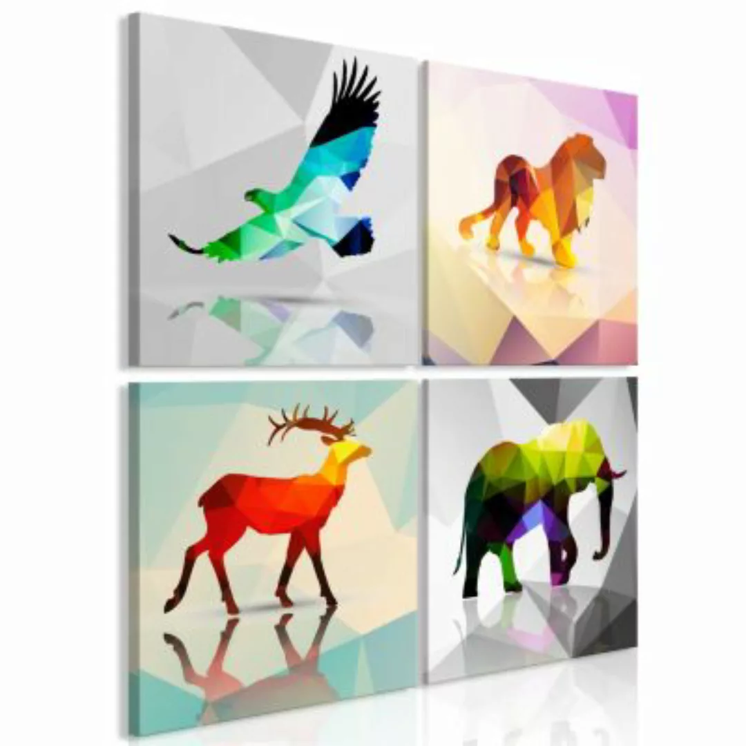 artgeist Wandbild Colourful Animals (4 Parts) mehrfarbig Gr. 90 x 90 günstig online kaufen