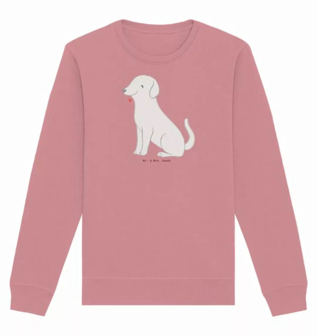 Mr. & Mrs. Panda Longpullover Labrador Moment Größe M - Canyon Pink - Gesch günstig online kaufen