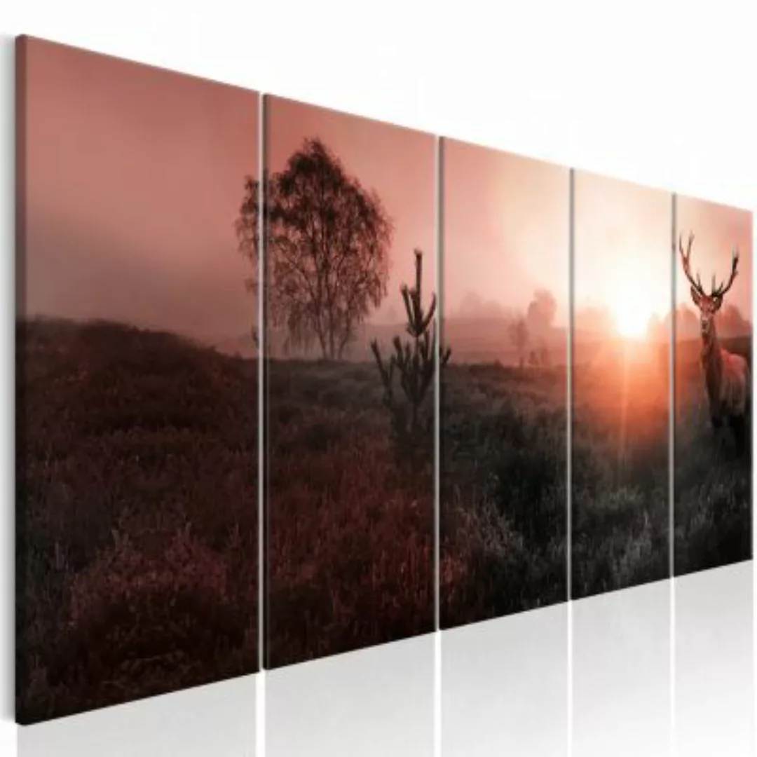 artgeist Wandbild Sun on the Horizon I grau/rot Gr. 200 x 80 günstig online kaufen