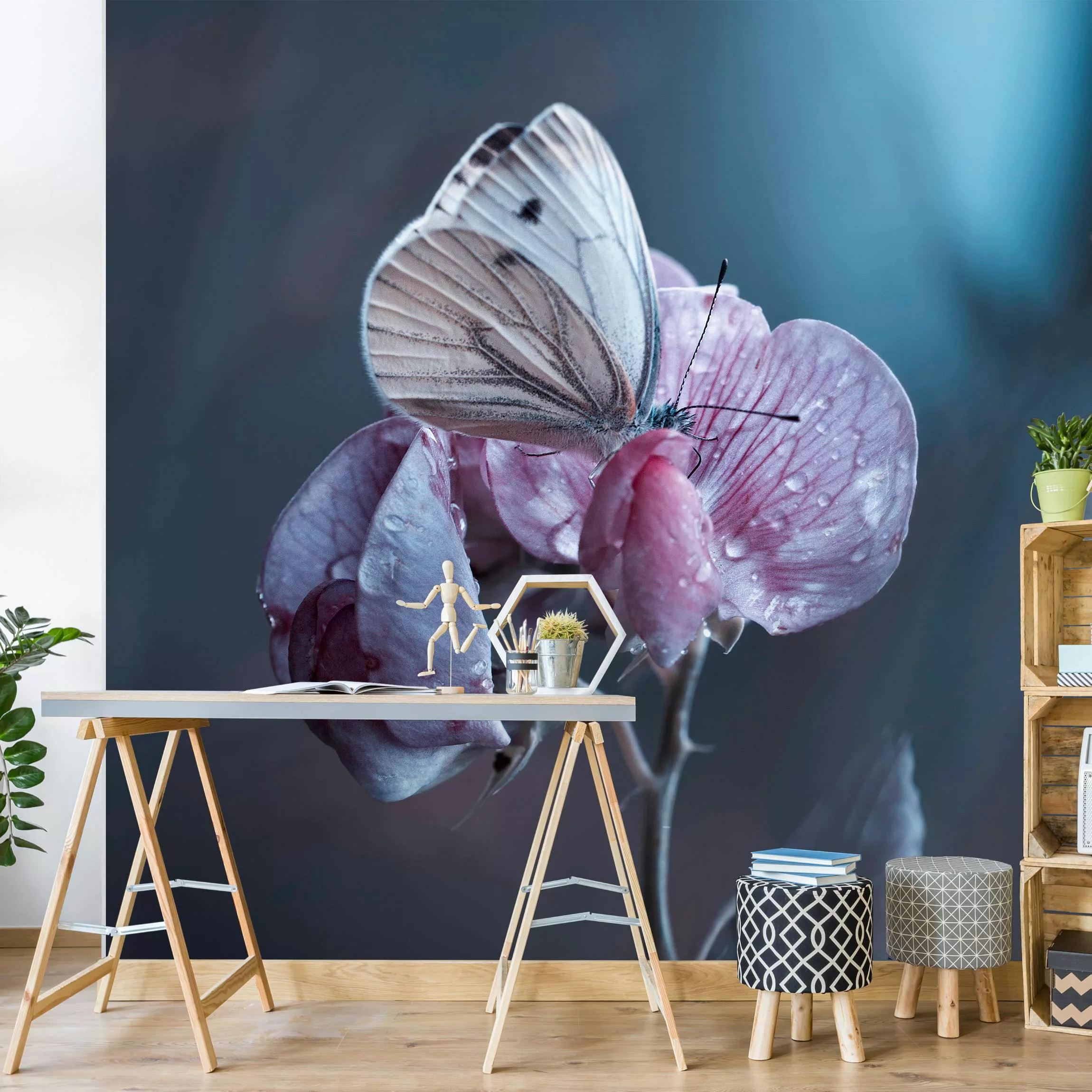Fototapete Schmetterling im Regen günstig online kaufen
