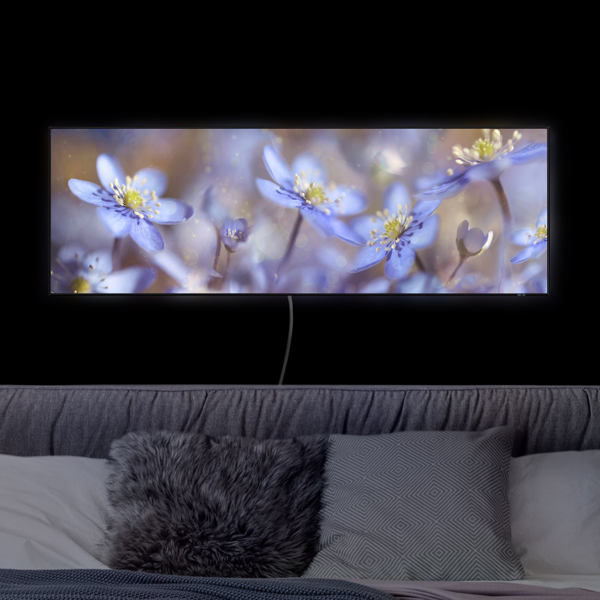 LED-Wechselbild Anemonen in Blau günstig online kaufen