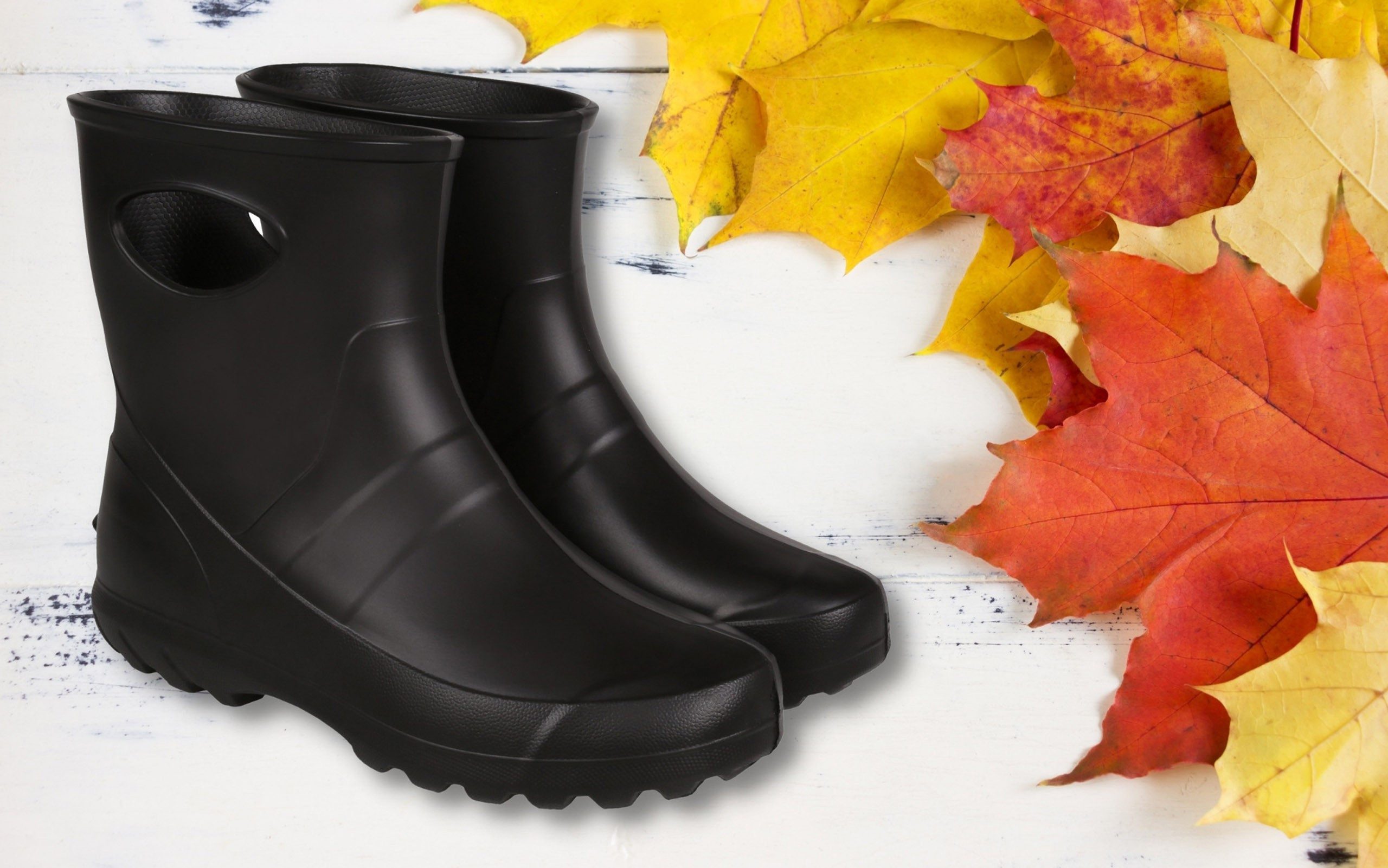 Sarcia.eu Schwarze Gartenstiefel aus Schaumstoff für günstig online kaufen