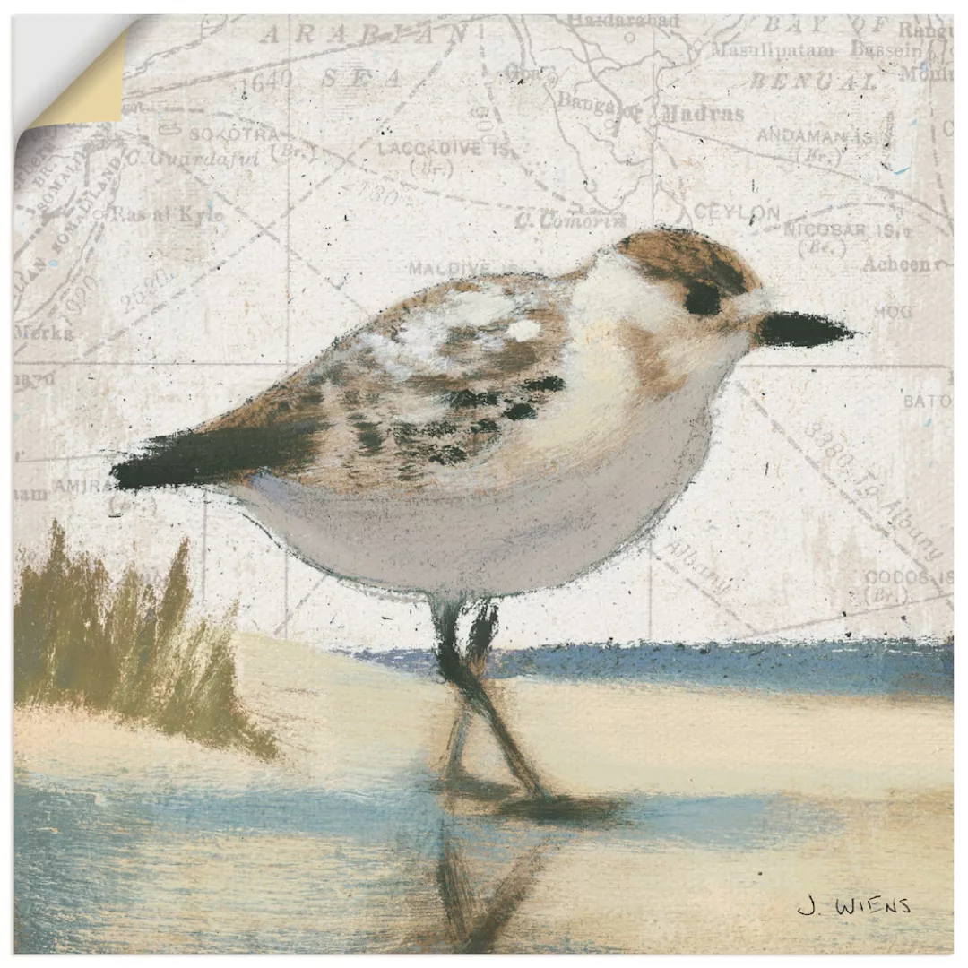 Artland Wandbild »Möwe I«, Vögel, (1 St.) günstig online kaufen