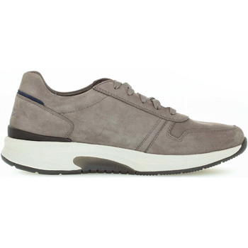 Pius Gabor  Sneaker 8001.13.03 günstig online kaufen