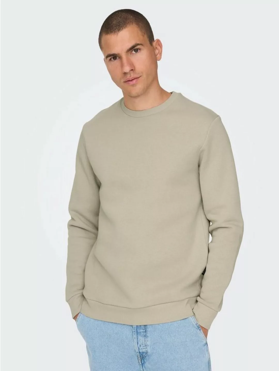 ONLY & SONS Sweatshirt ONSCERES CREW NECK NOOS günstig online kaufen