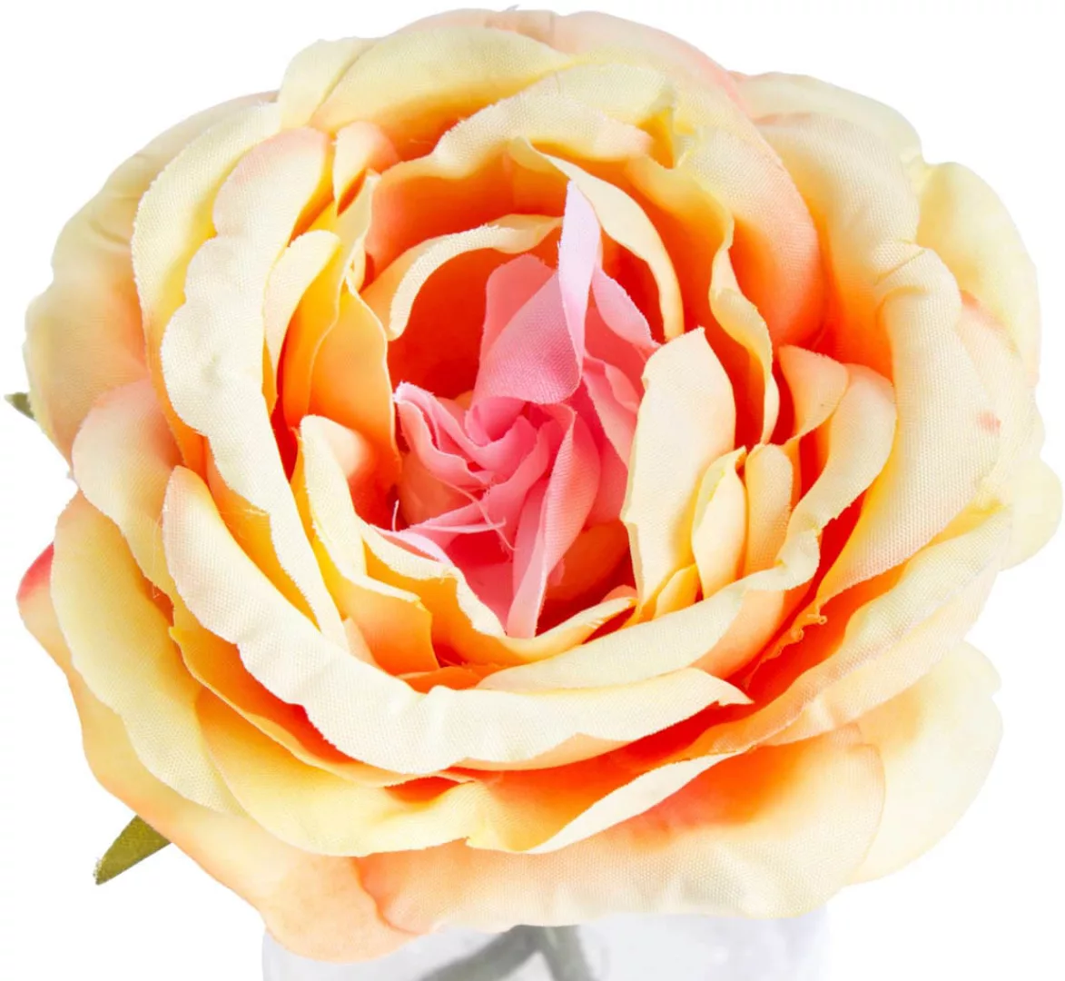 Botanic-Haus Kunstblume "Rose im Glas" günstig online kaufen