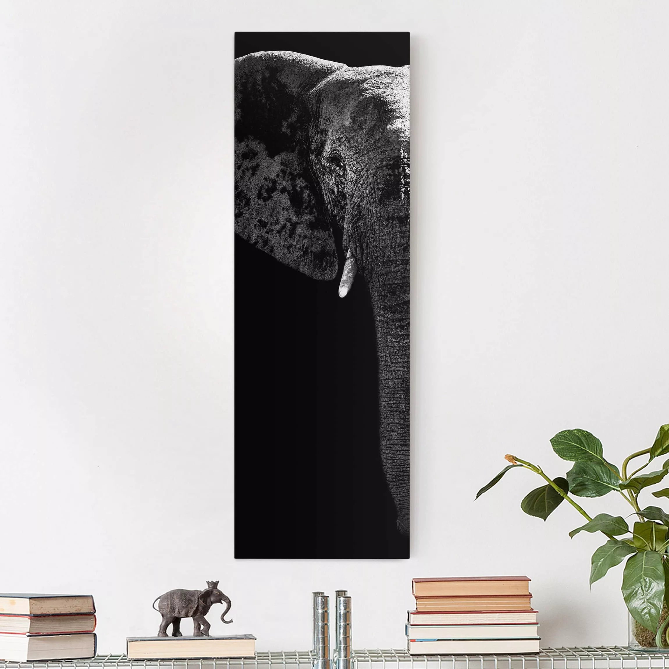 Leinwandbild Elefant - Hochformat Afrikanischer Elefant schwarz-weiß günstig online kaufen