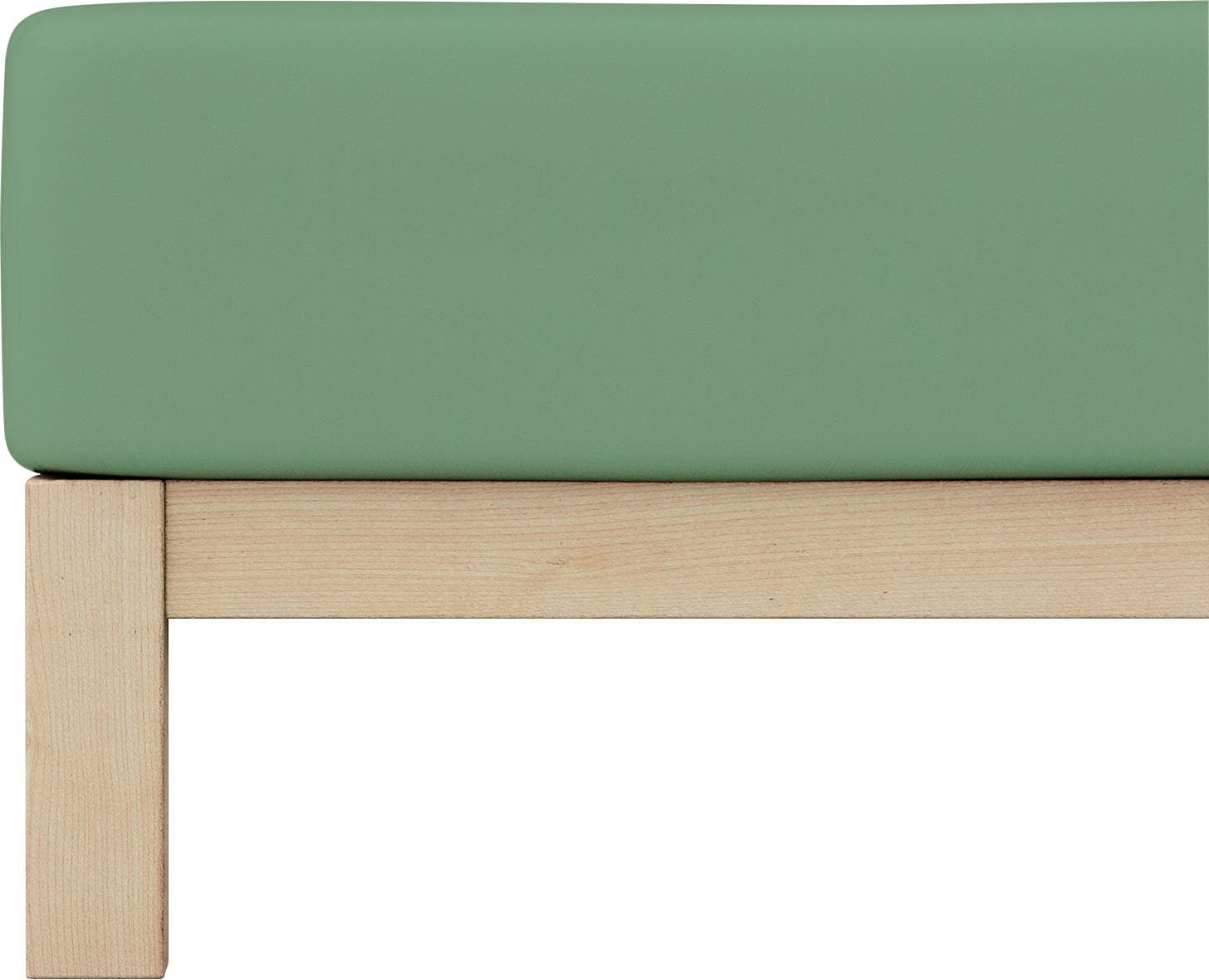 Schlafgut Spannbettlaken »PURE Bio-Baumwolle mit Elasthan, dehnbar blickdic günstig online kaufen
