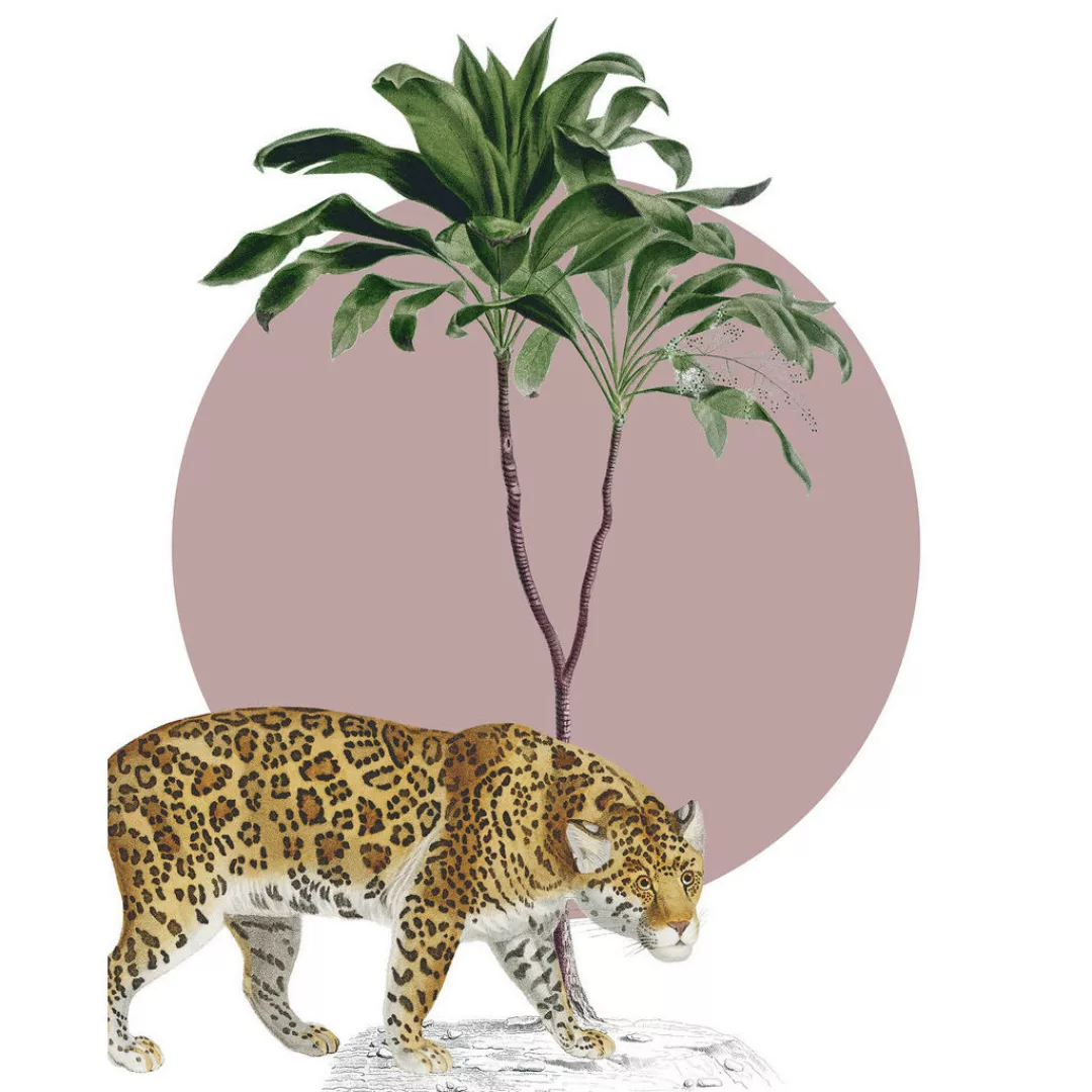 Komar Wandbild "Botanical Garden Jaguar", (1 St.), Deutsches Premium-Poster günstig online kaufen