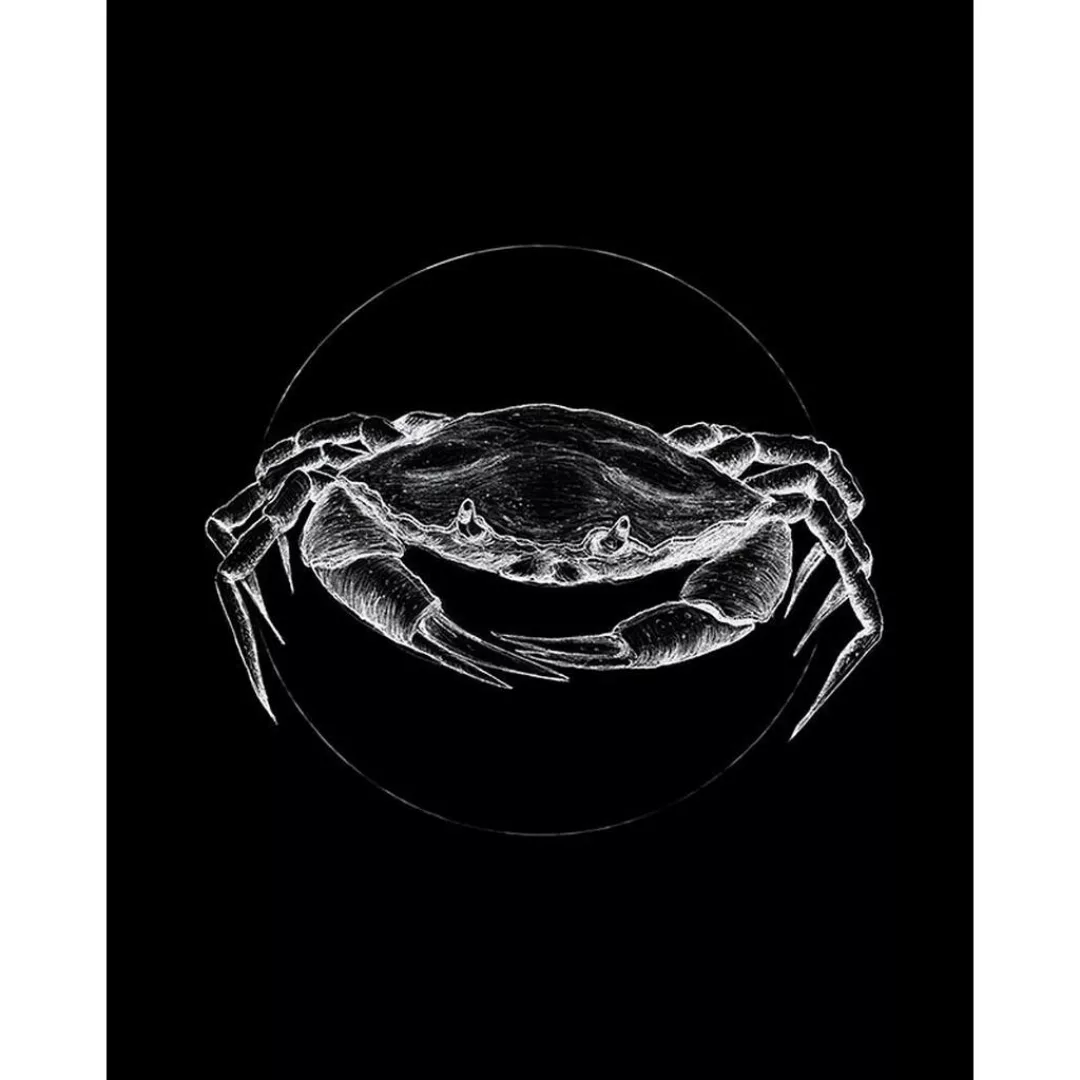 Komar Wandbild Crab Black Tiere B/L: ca. 40x50 cm günstig online kaufen