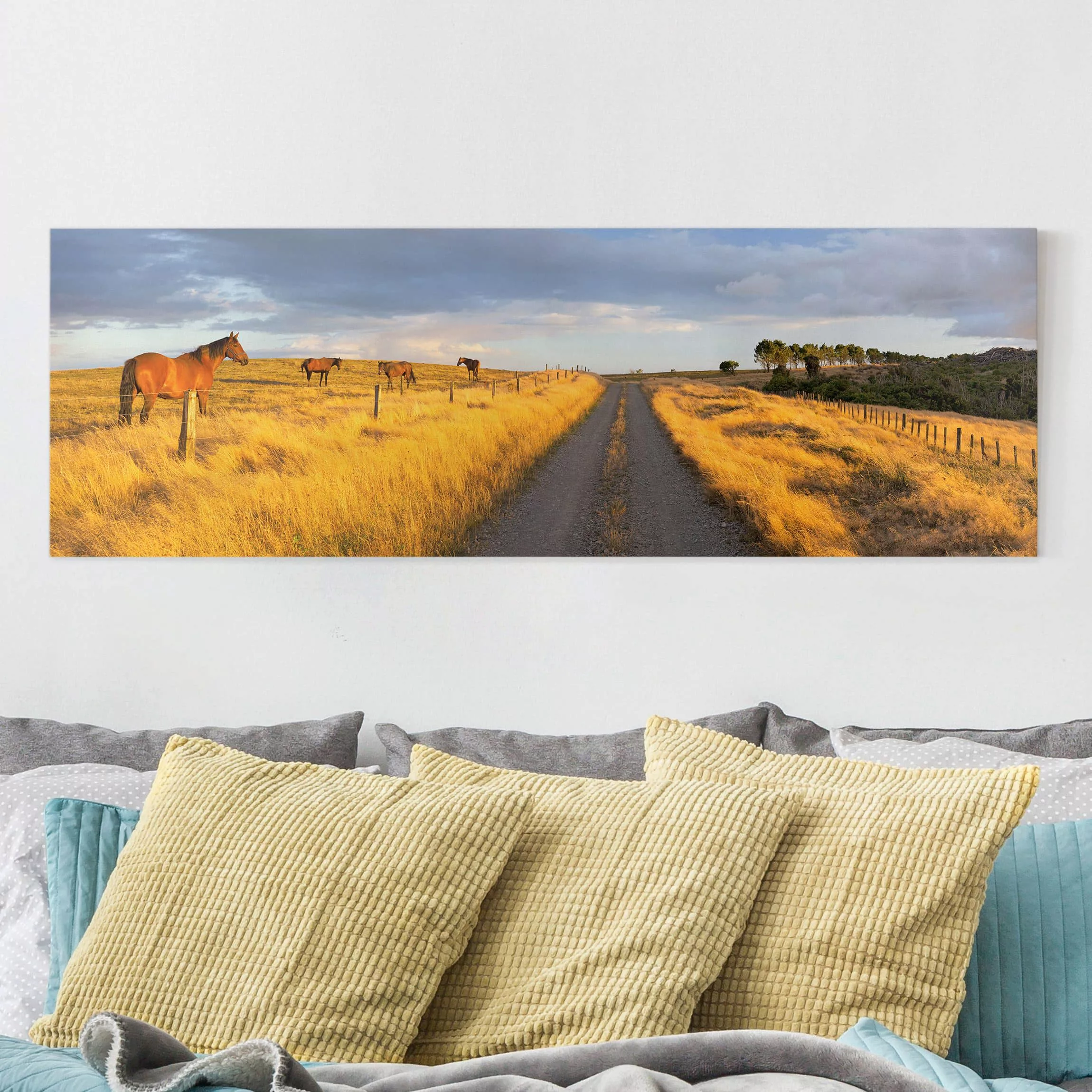 Leinwandbild Pferd - Panorama Feldstraße und Pferde bei Abendsonne günstig online kaufen