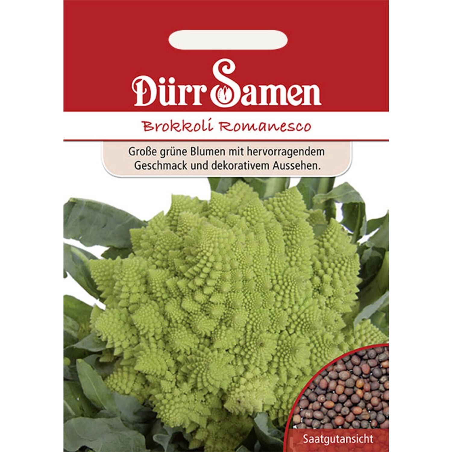 Dürr Samen Brokkoli Romanesco Saatgut günstig online kaufen