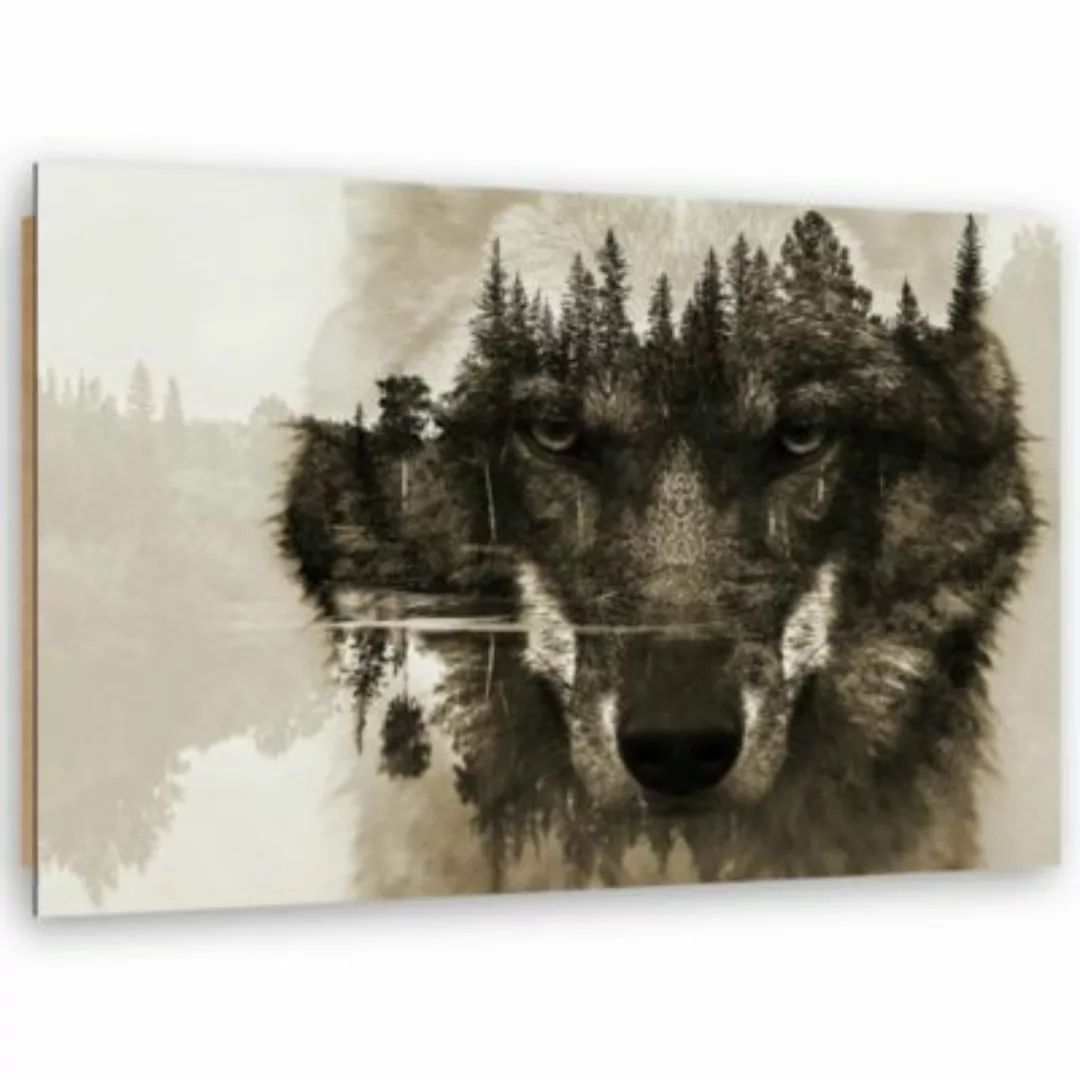 FEEBY® Kunst Brown Wolf Leinwandbilder bunt Gr. 90 x 60 günstig online kaufen