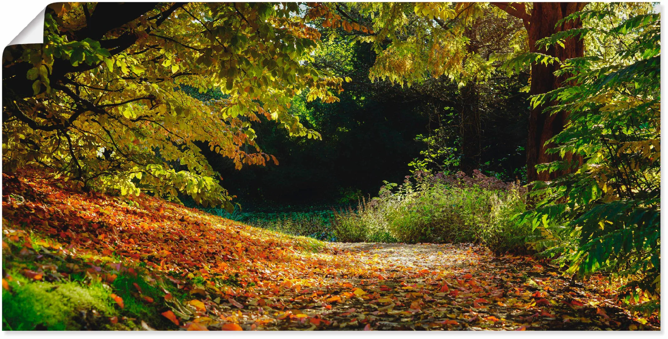 Artland Poster »Herbstteppich«, Wald, (1 St.), als Leinwandbild, Wandaufkle günstig online kaufen