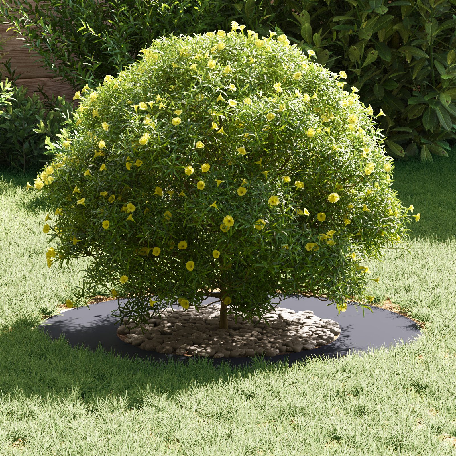 vidaXL Blumentopf Kunststoffpflanzer Anthrazit Langlebiger Kunststoff günstig online kaufen
