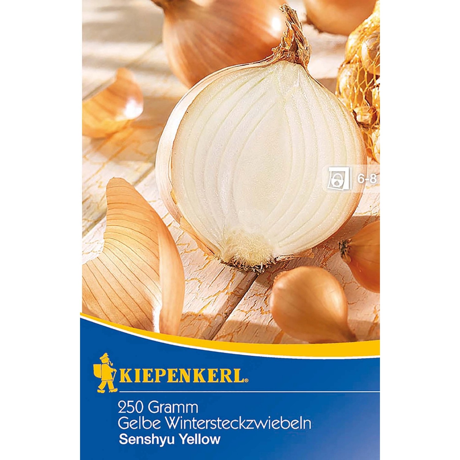 Kiepenkerl Gelbe Wintersteckzwiebeln Senshyu Yellow 50 Stück günstig online kaufen