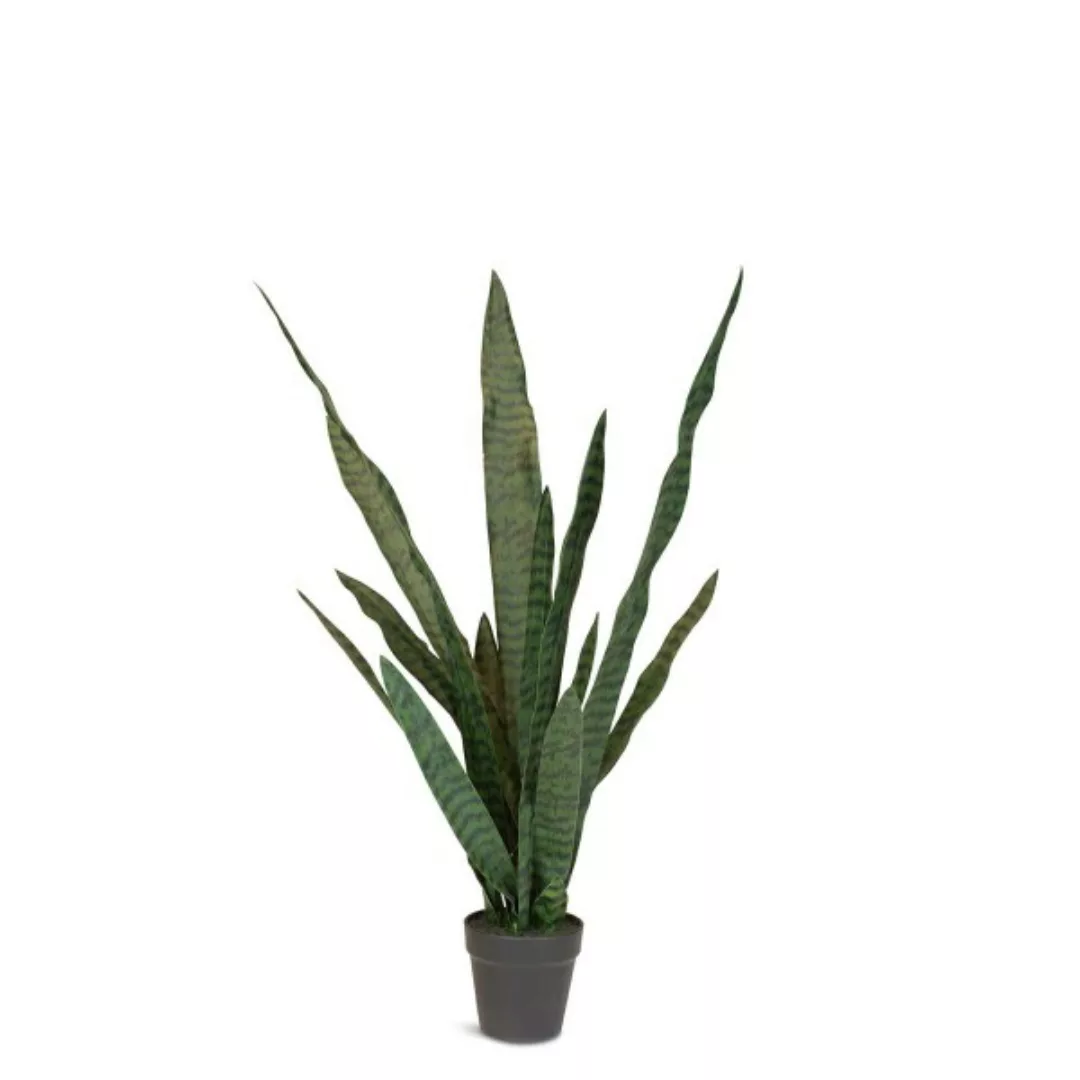 Künstlicher Ceylon-Bogenhanf - Sansevieria trifasciata günstig online kaufen