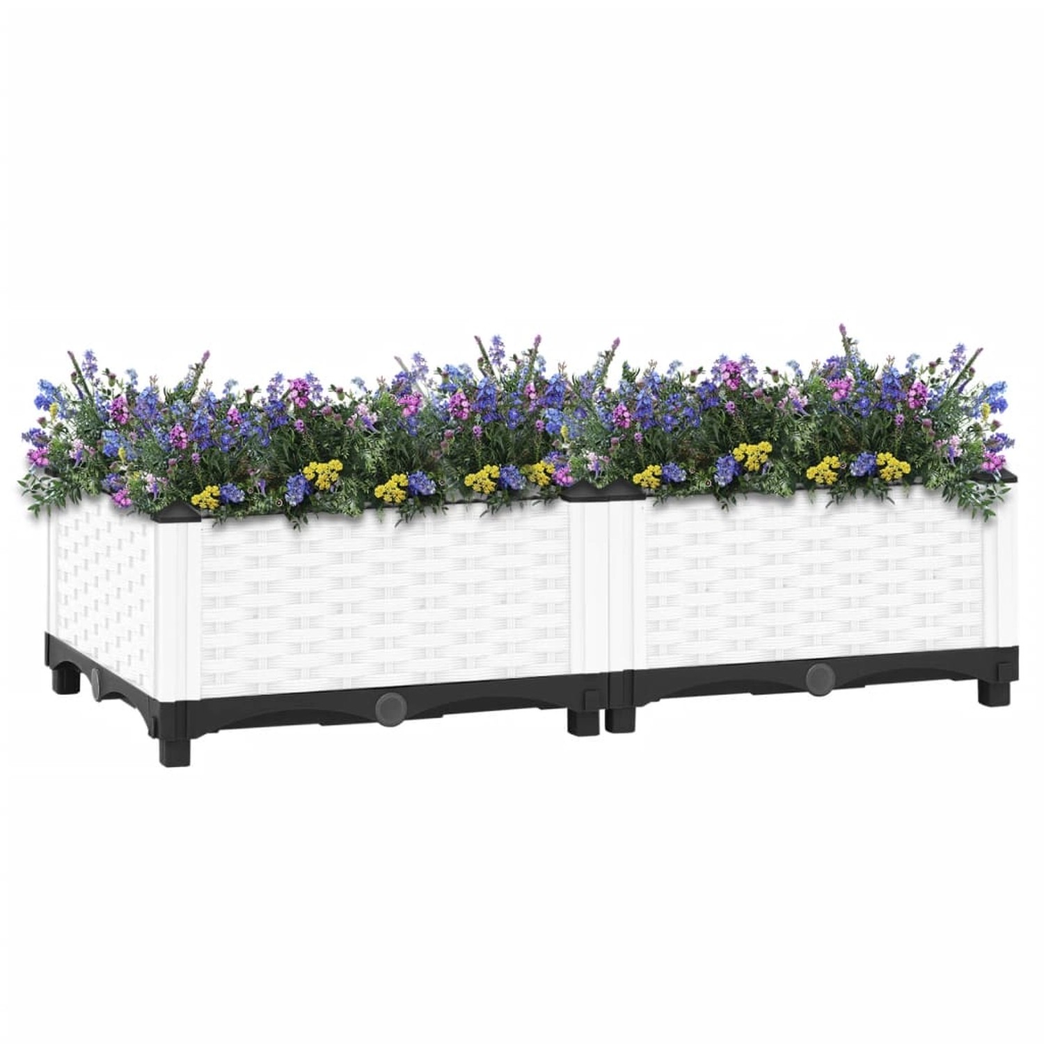 Vidaxl Hochbeet 80x40x23 Cm Polypropylen günstig online kaufen