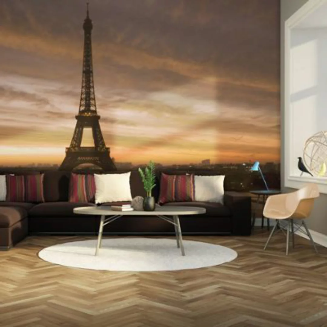 artgeist Fototapete Der Eiffelturm im Morgentau mehrfarbig Gr. 350 x 270 günstig online kaufen