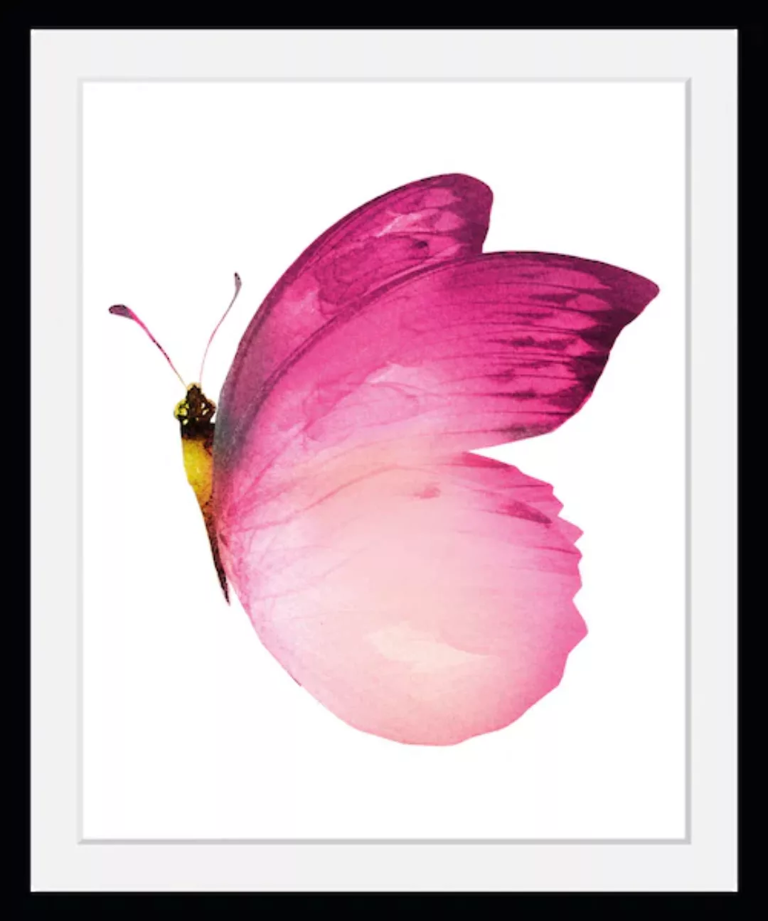 queence Bild »Judy«, Schmetterlinge-Kunst-Insekten, (1 St.), HD Premium Pos günstig online kaufen
