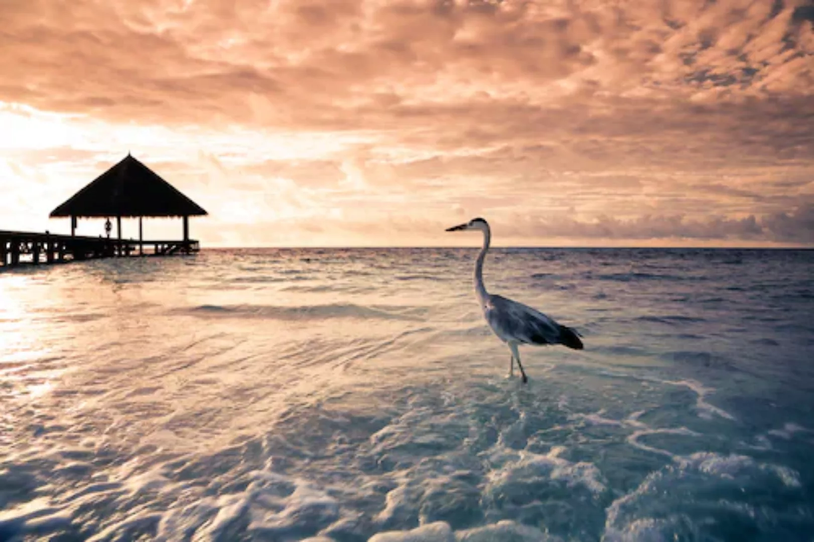 Papermoon Fototapete »Flamingo Tropical Beach« günstig online kaufen